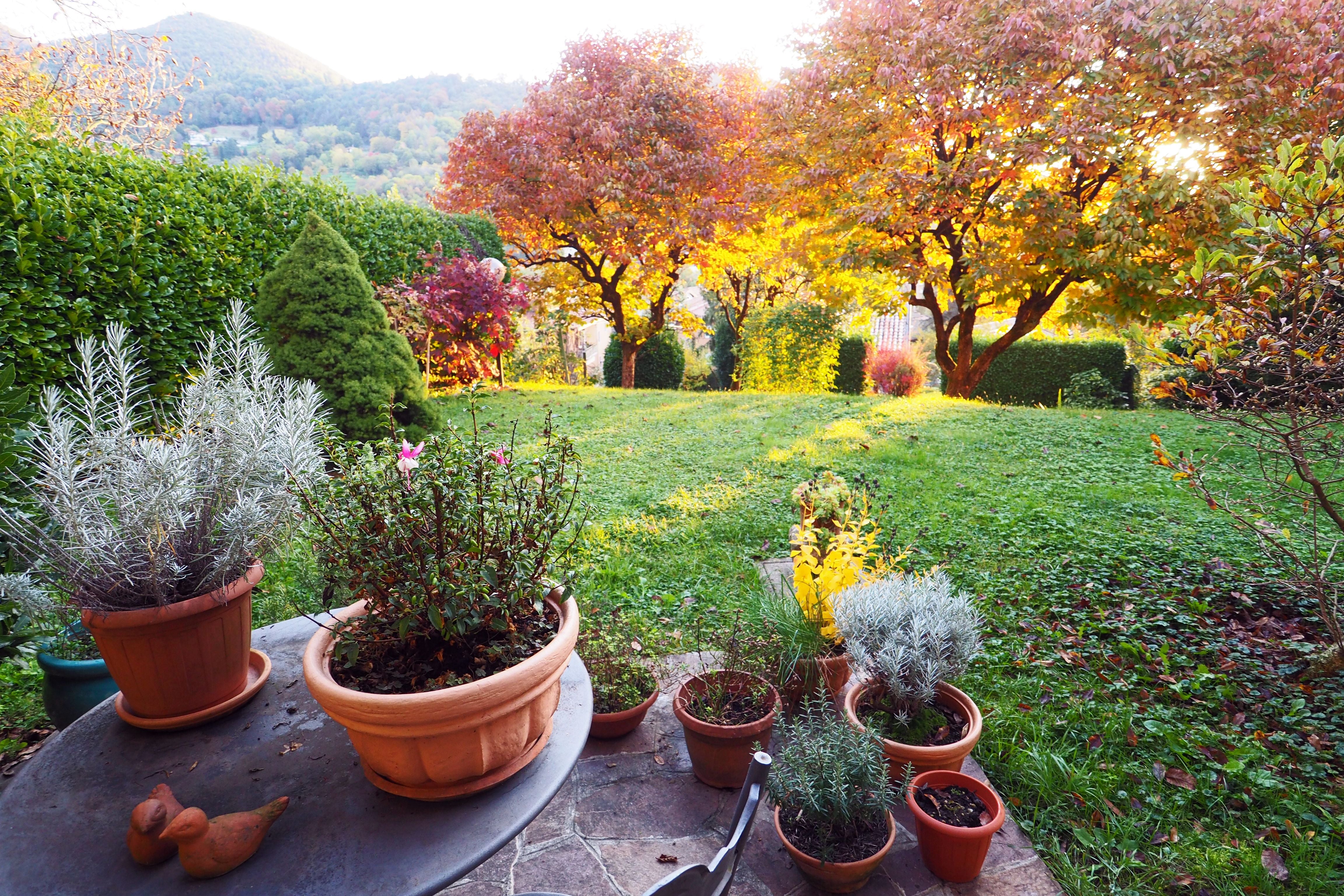 Garten im Frühherbst mit Kräutertöpfen, bunten Bäumen und Hügeln im Hintergrund.