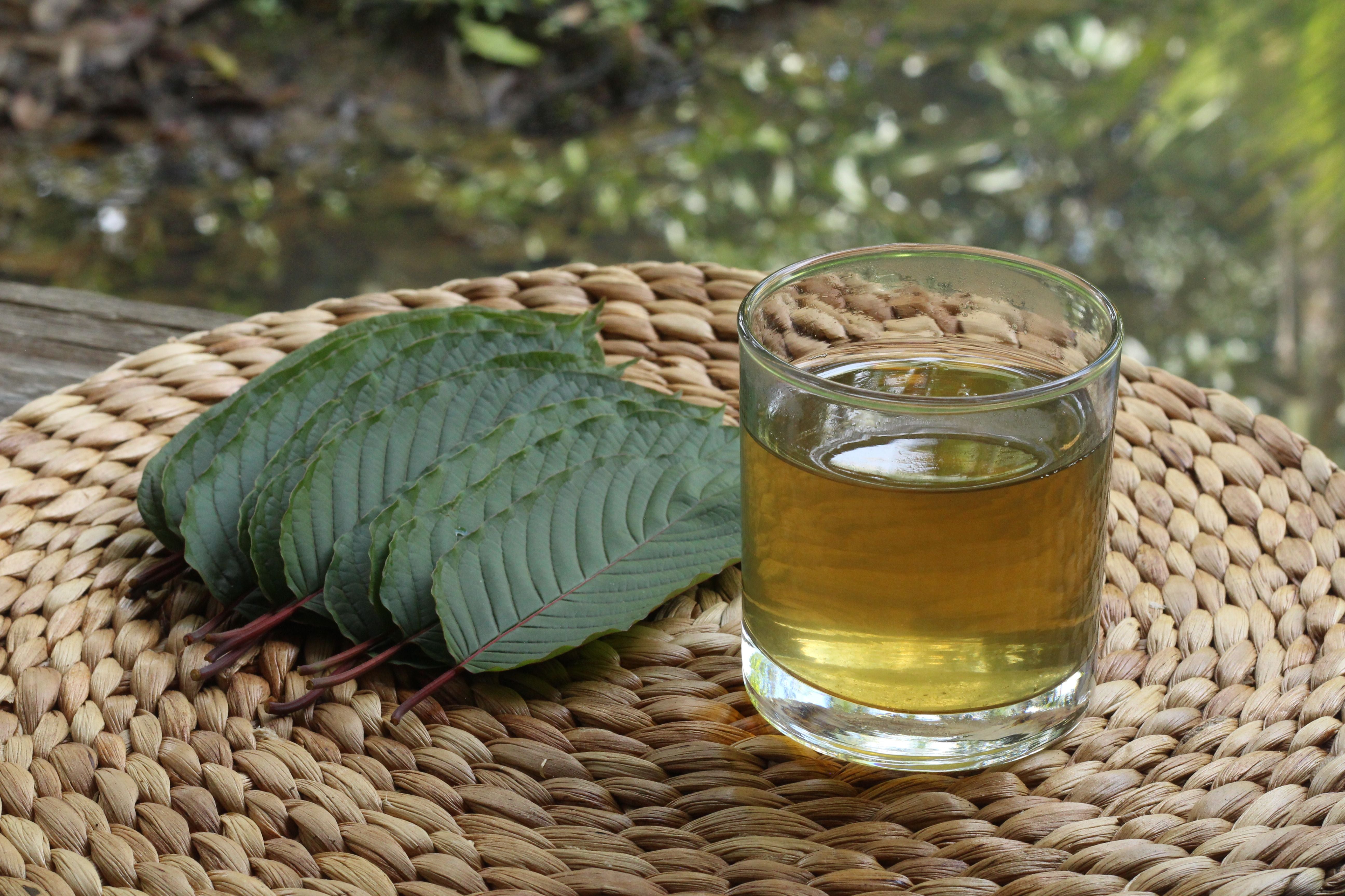 Frische Kratomblätter und ein Glas Kratomtee auf einer geflochtenen Unterlage.