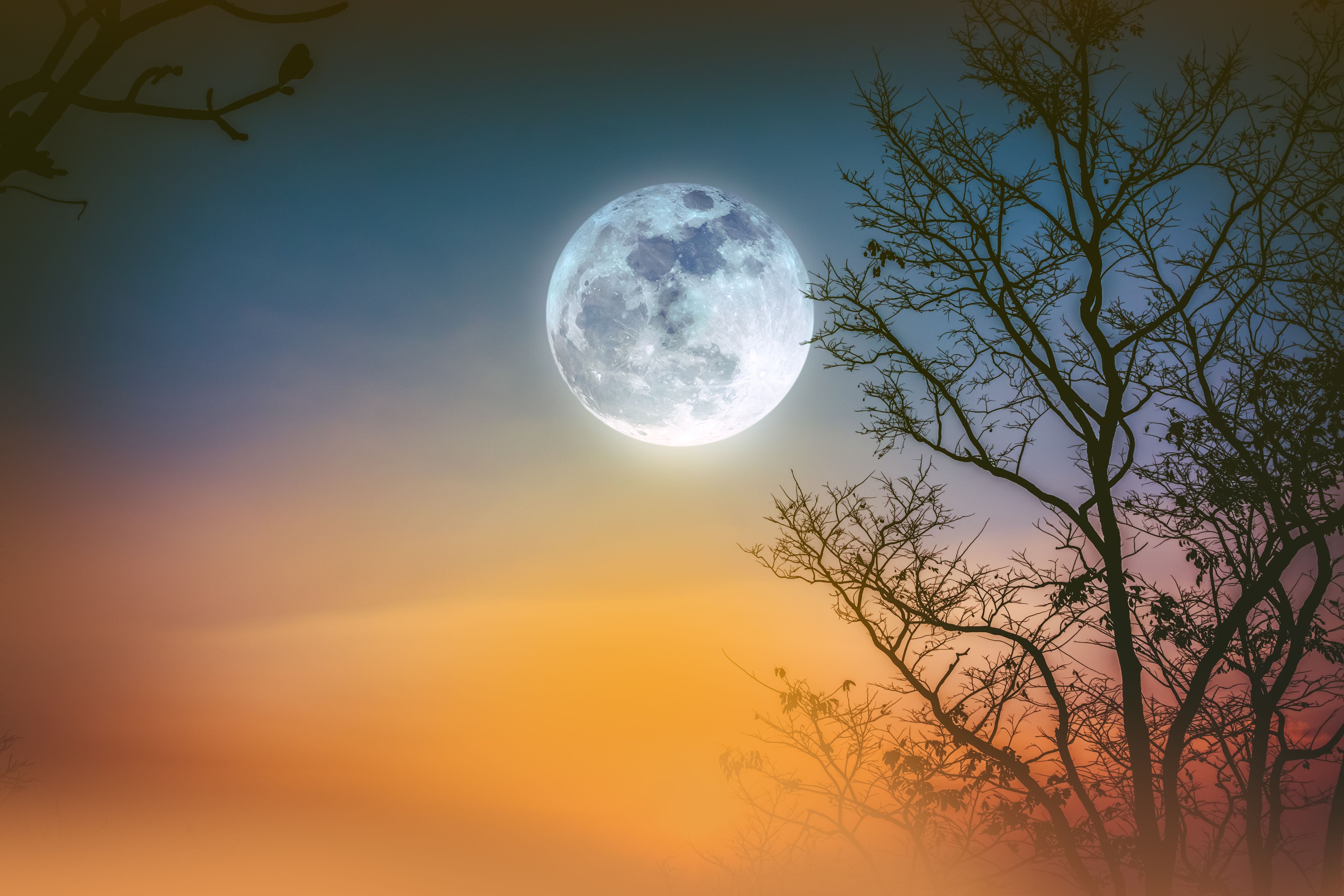 Vollmond über farbigem Himmel mit Nebel und Silhouetten kahler Bäume in der Nacht.