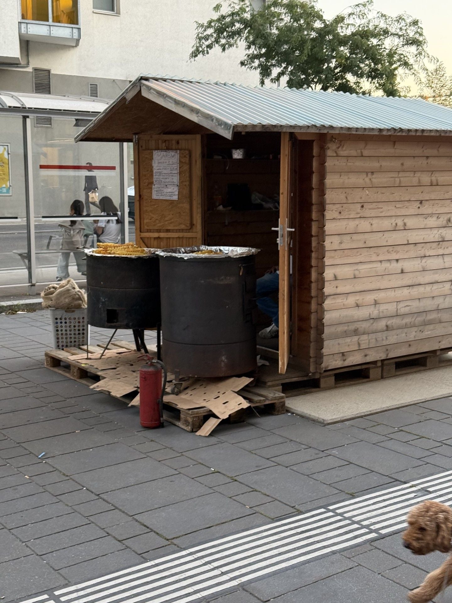 Kleiner Holzstand mit zwei Maroni-Öfen auf Paletten in der Seestadt, vorne ein Feuerlöscher.