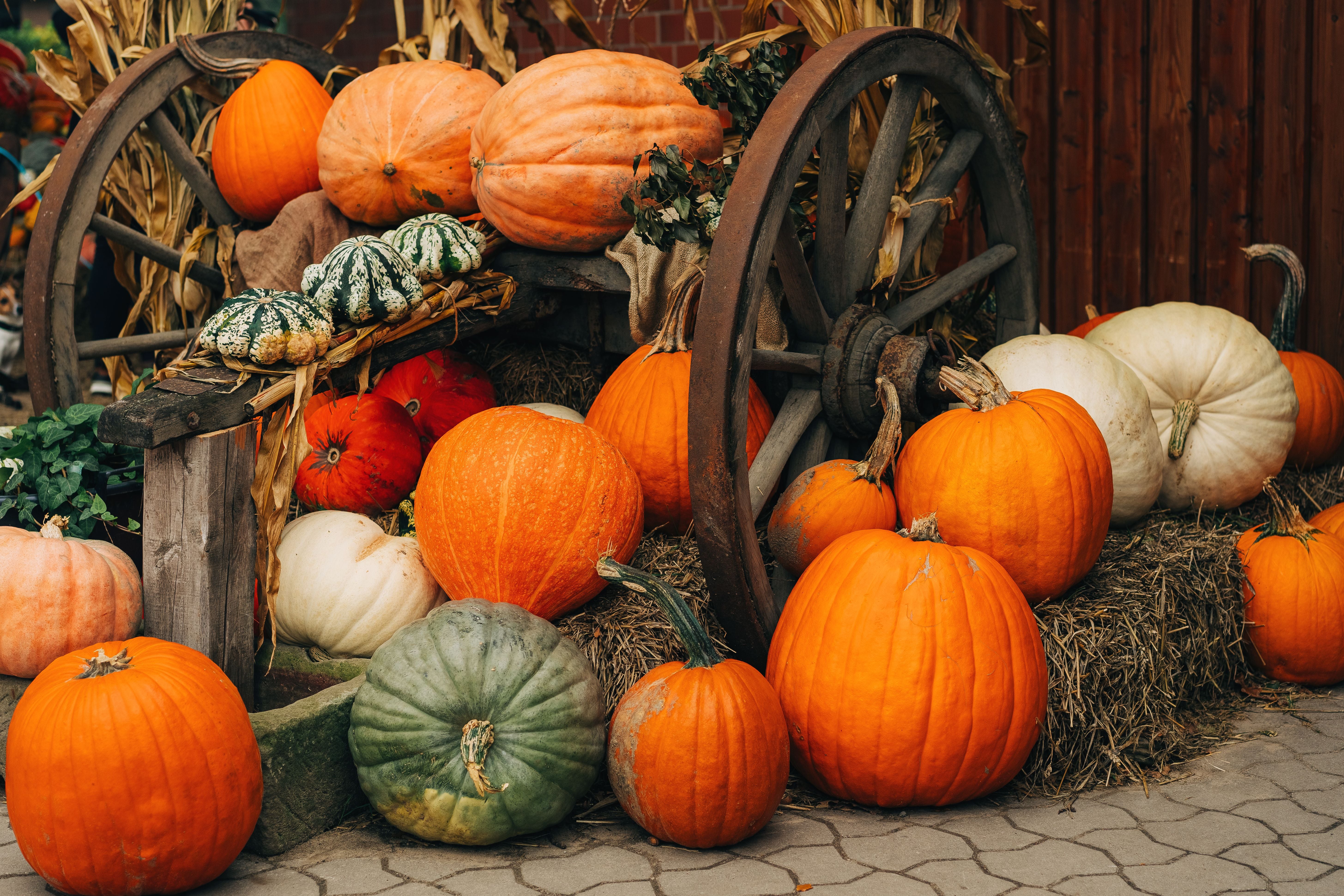 Verschiedene Kürbisse liegen auf Strohballen und vor einem alten Holzwagen im Herbstdekor.