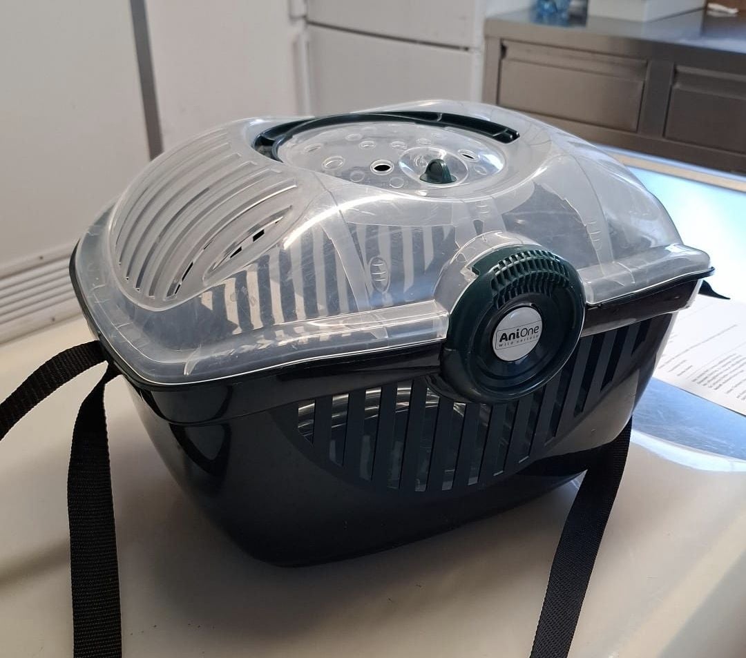 Kleine schwarze Transportbox mit durchsichtigem Deckel und Griff, steht auf einem Tisch.