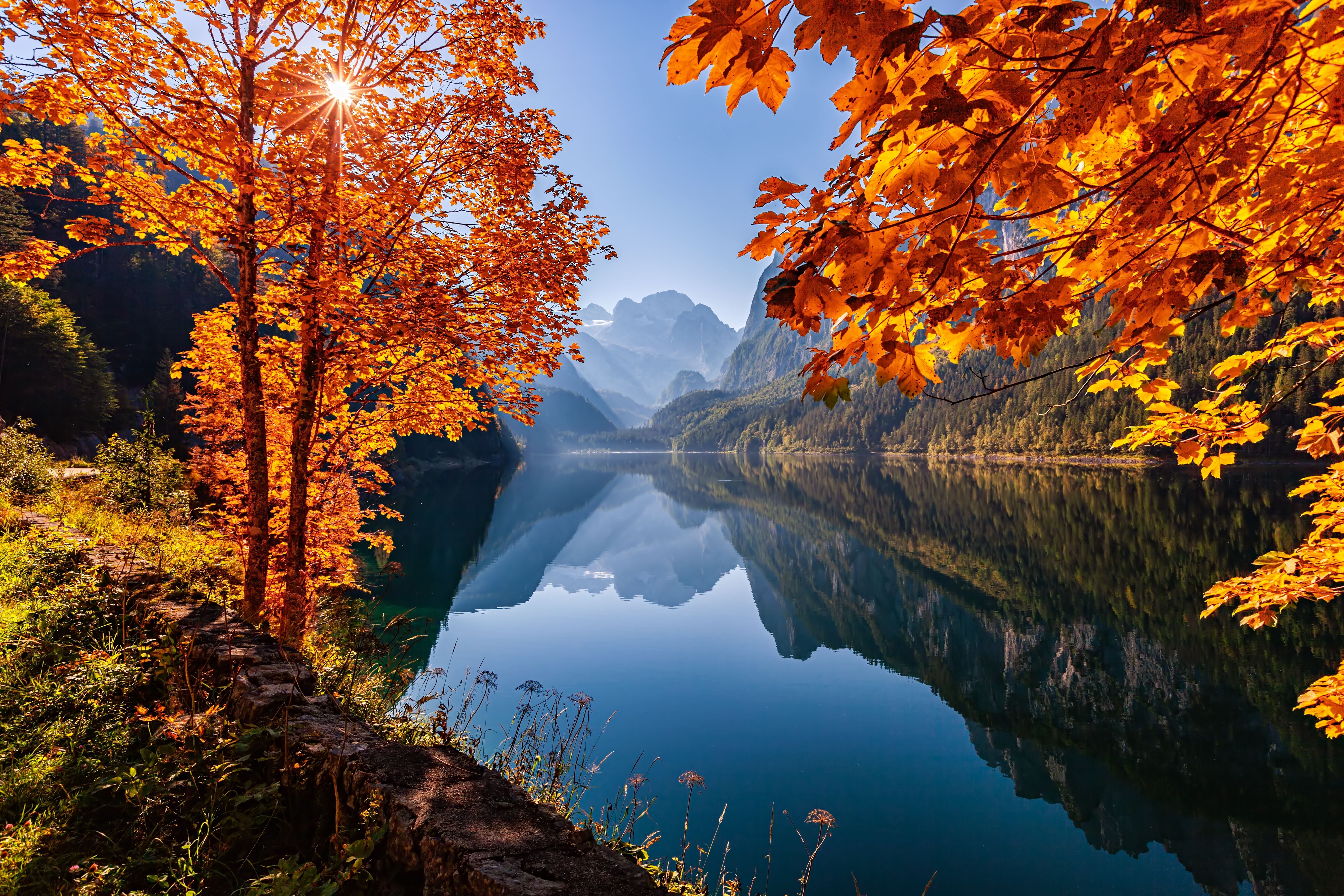 Herbstliche Bäume am Gosausee mit Bergpanorama und Spiegelung im klaren Wasser.