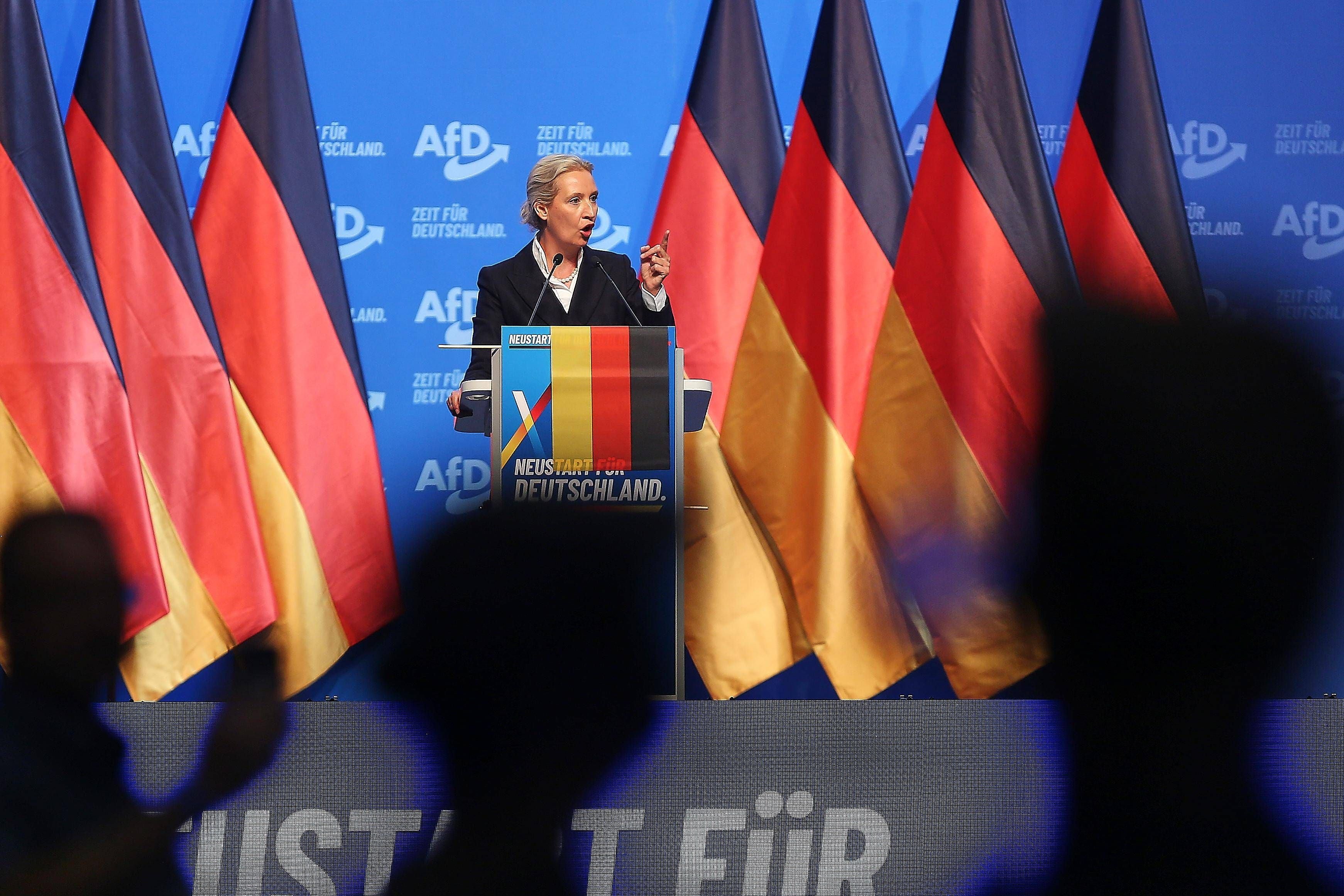 Eine Frau spricht am Rednerpult beim AfD-Parteitag vor deutschen Flaggen.