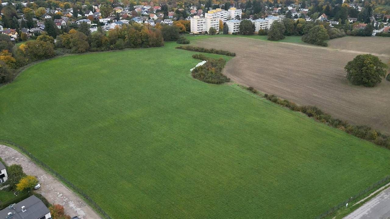 Auf dieser Wiese soll das Bauprojekt in den nächsten Jahren umgesetzt werden.