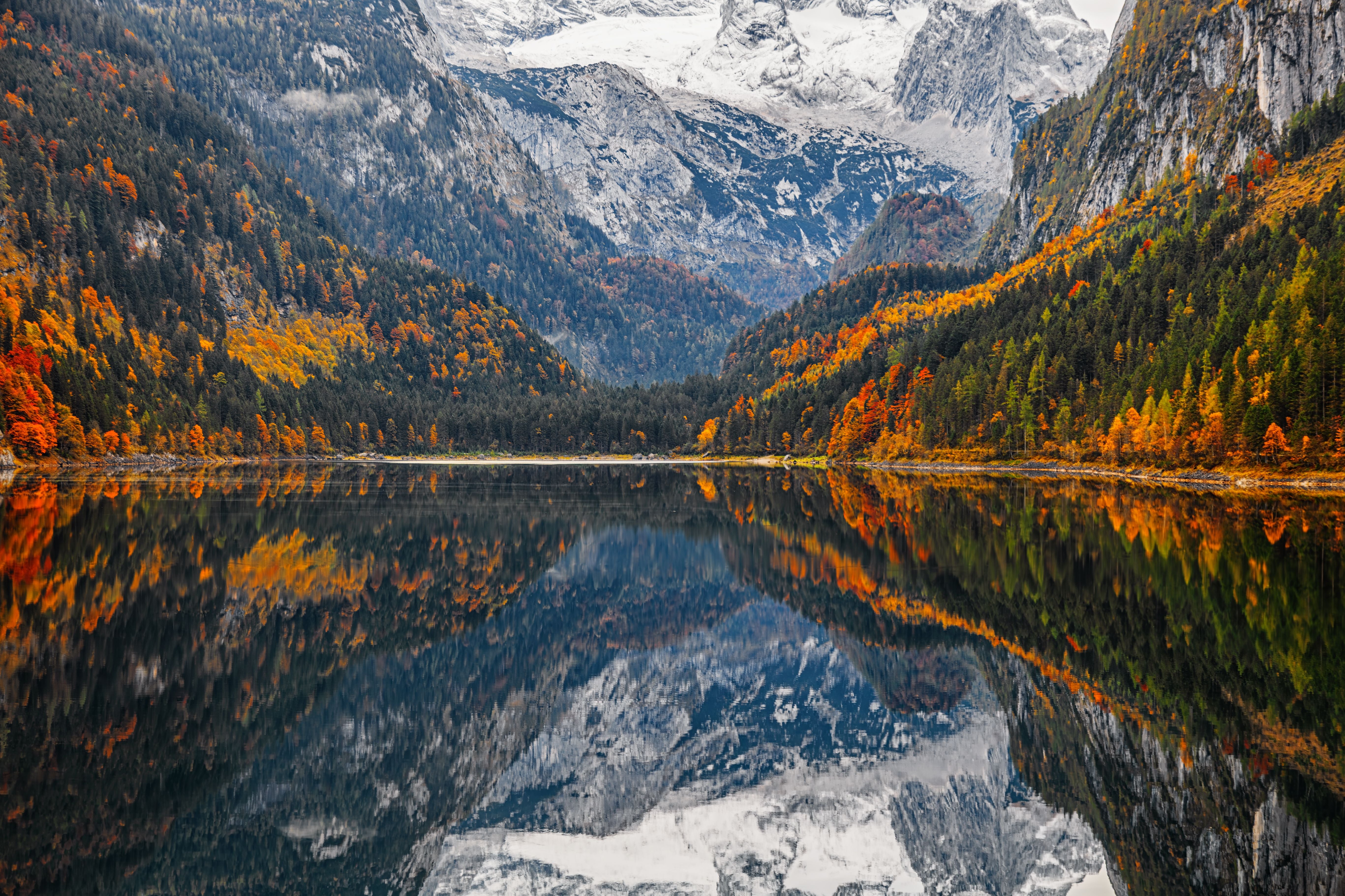 Der ruhige Gosausee spiegelt verschneite Berge und herbstlichen Wald in den österreichischen Alpen.