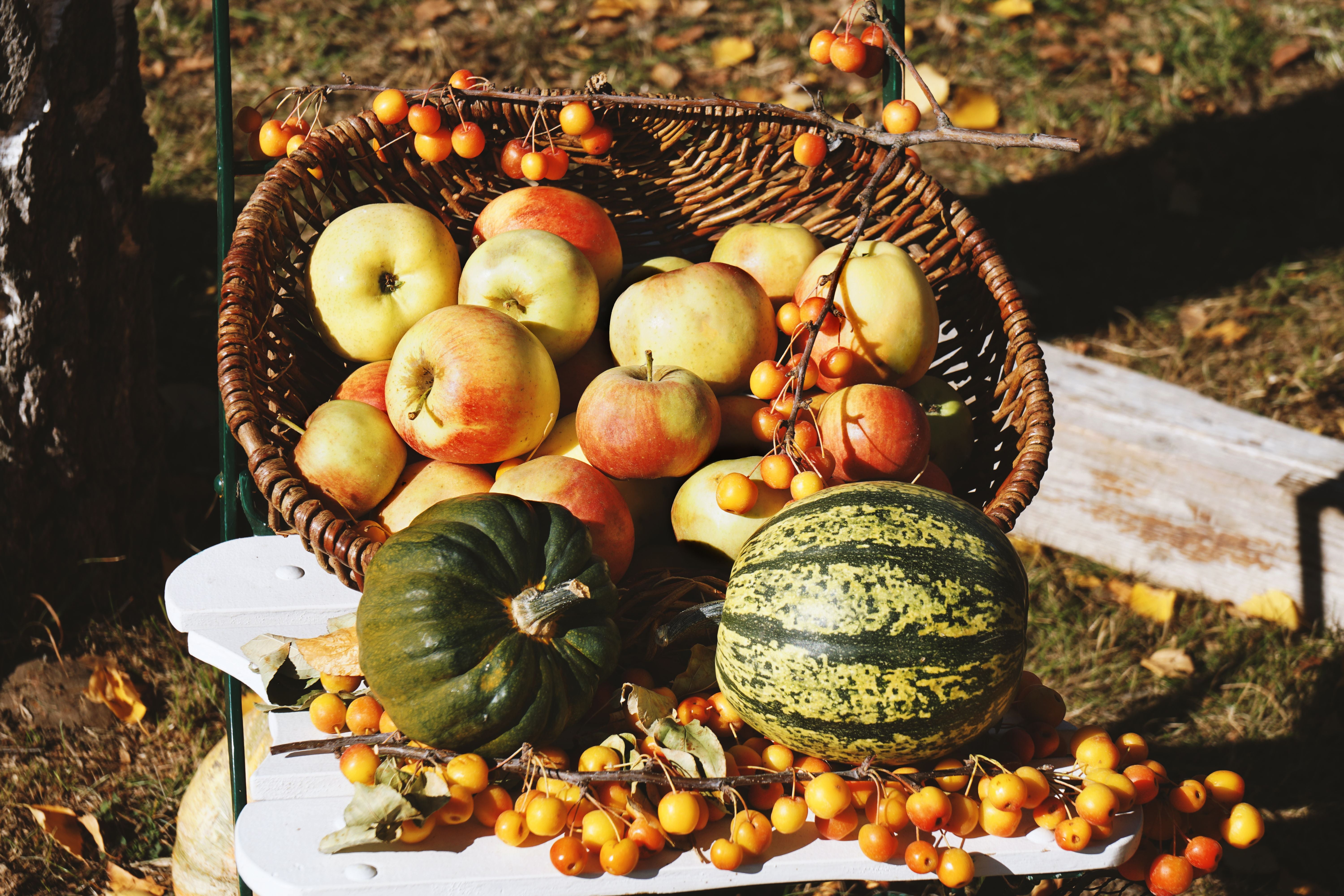 Korb mit Äpfeln, Kürbissen und Zierfrüchten als herbstliches Stillleben im Freien.