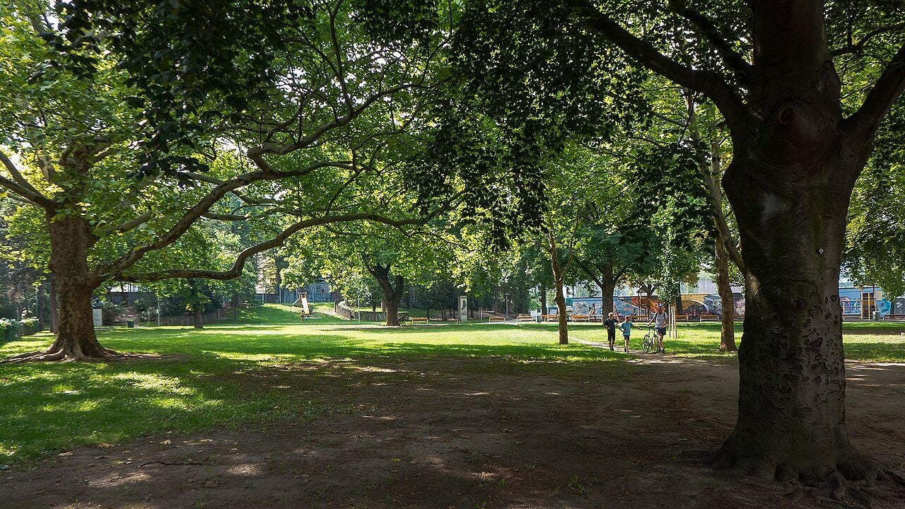 Grüne Bäume im Arne-Karlsson-Park mit Menschen und Fahrrädern im Hintergrund.