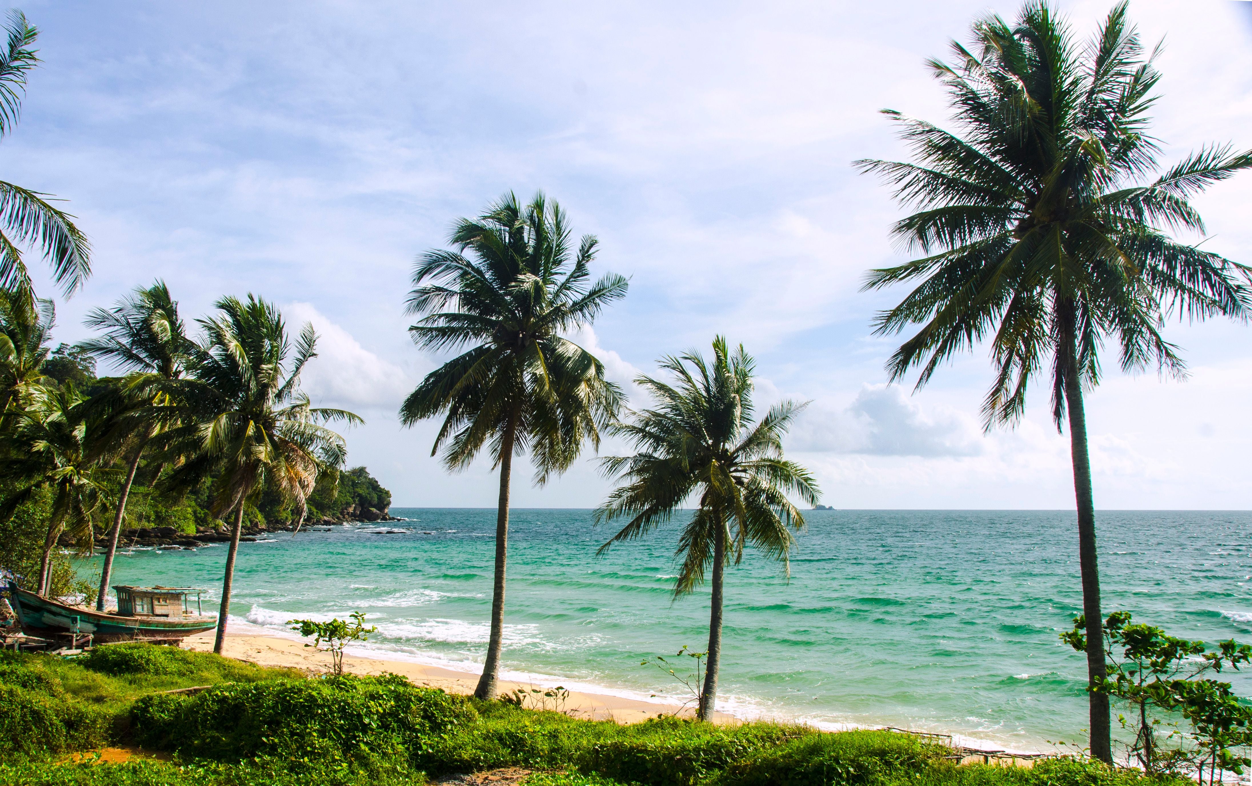 Palmen an einem sonnigen Sandstrand mit türkisfarbenem Meer in Vietnam.