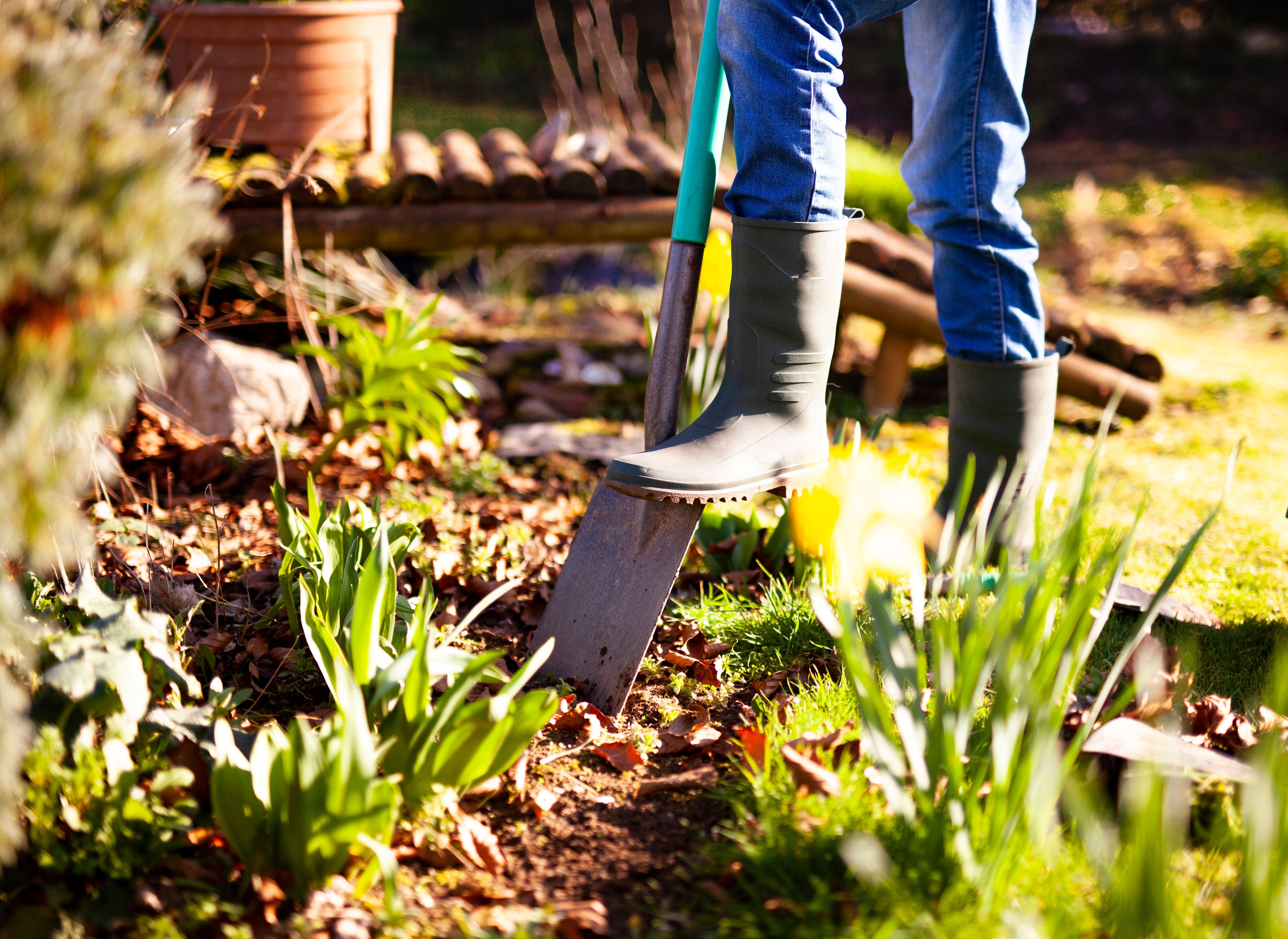 Person mit Gummistiefeln gräbt mit Spaten im sonnigen Garten zwischen grünen Pflanzen.