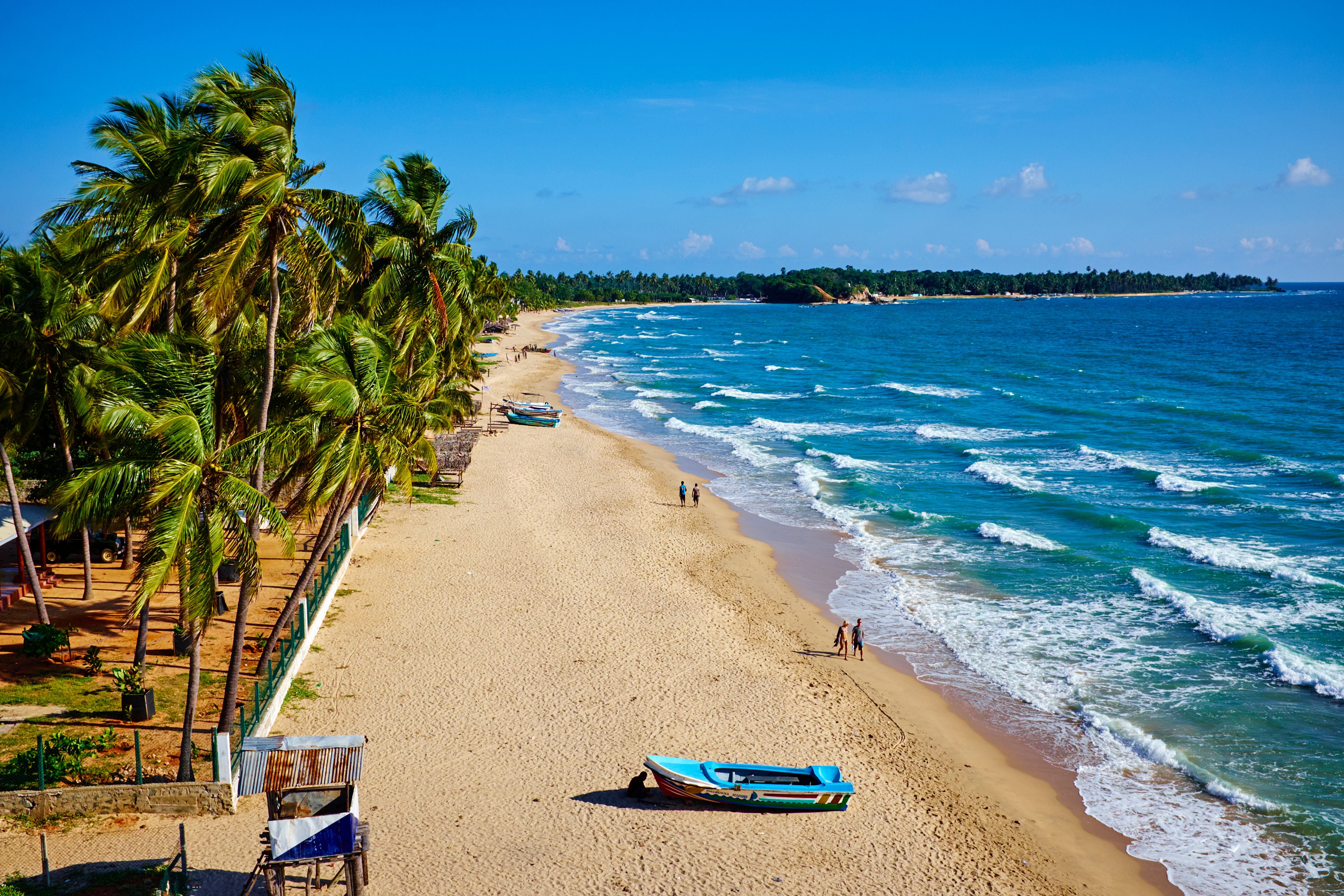 Sandstrand mit Palmen, Fischerbooten und Menschen am Meer in Uppuveli, Trincomalee, Sri Lanka.