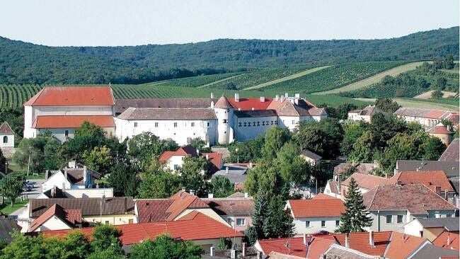 Auf einer Anhöhe im Weinbauort liegt Schloss Mailberg.