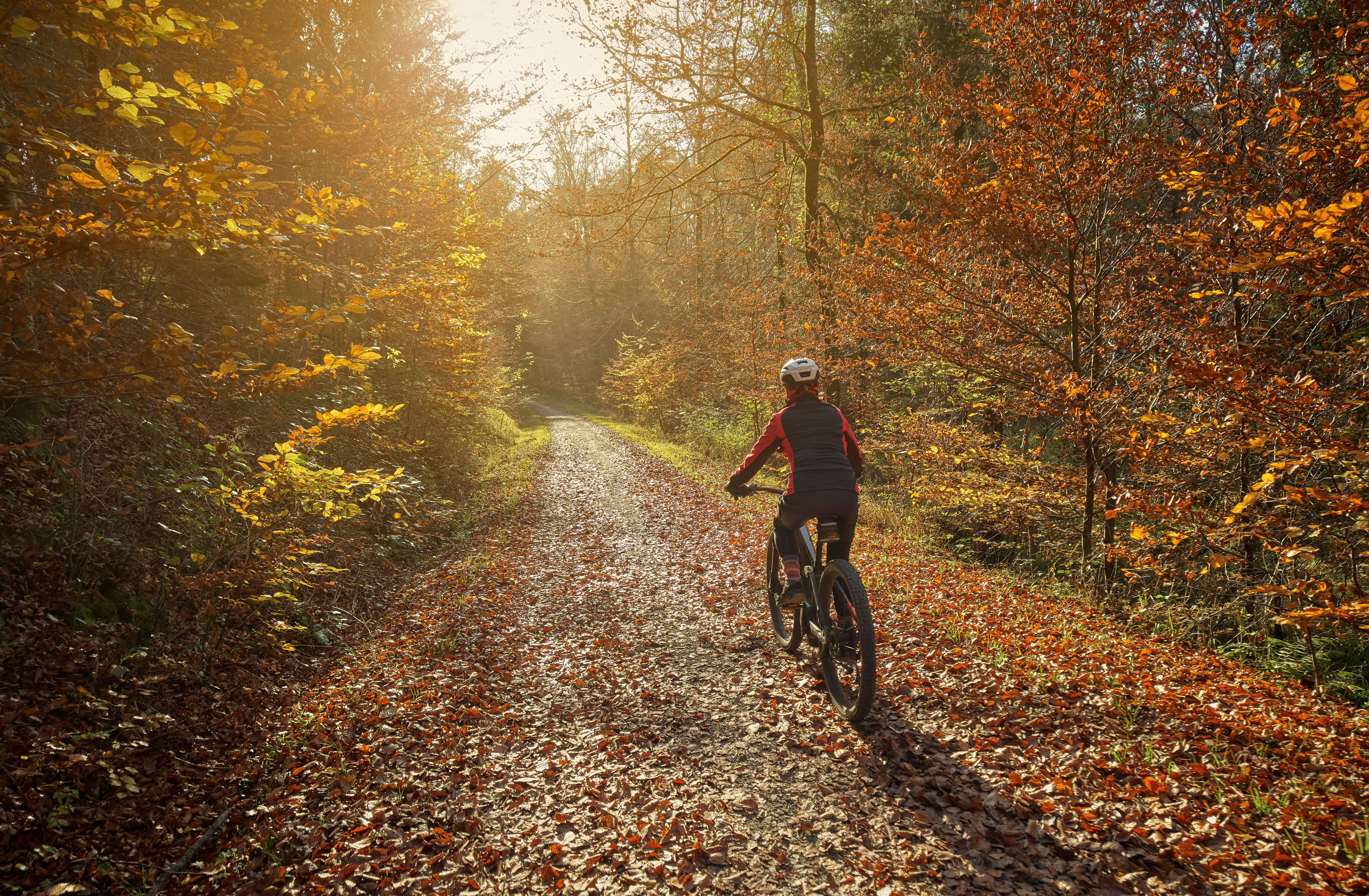 Frau fährt mit E-Bike bei Sonnenuntergang durch herbstlichen Wald im Allgäu, Bayern.