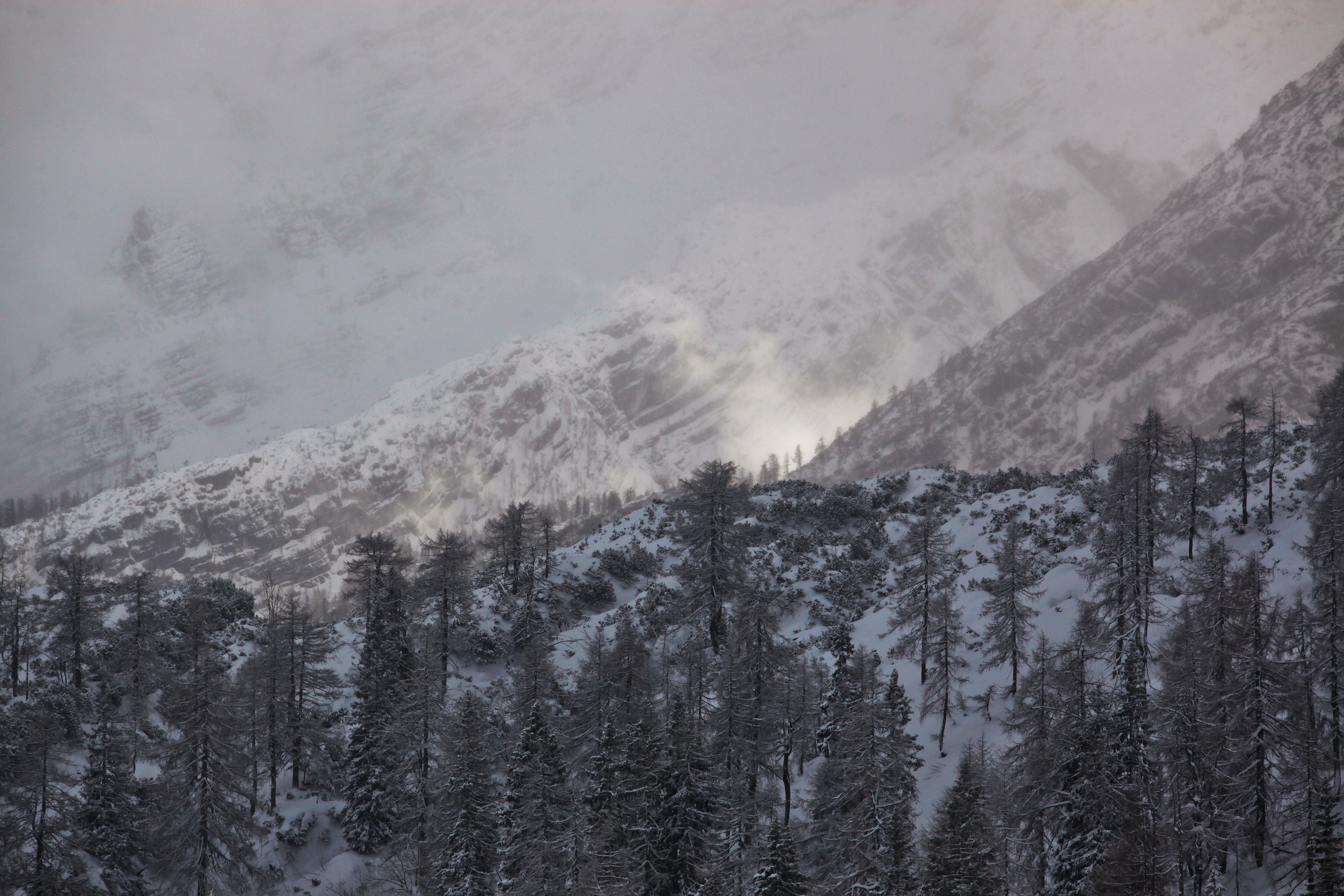 Verschneiter Alpenhang mit Nadelbäumen, Nebel und verwehender Schnee an steilem Berghang.