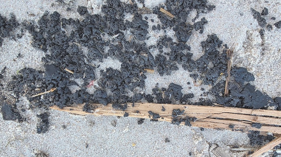 Schwarze Klumpen und Treibholz liegen auf hellem Sand am Strand.
