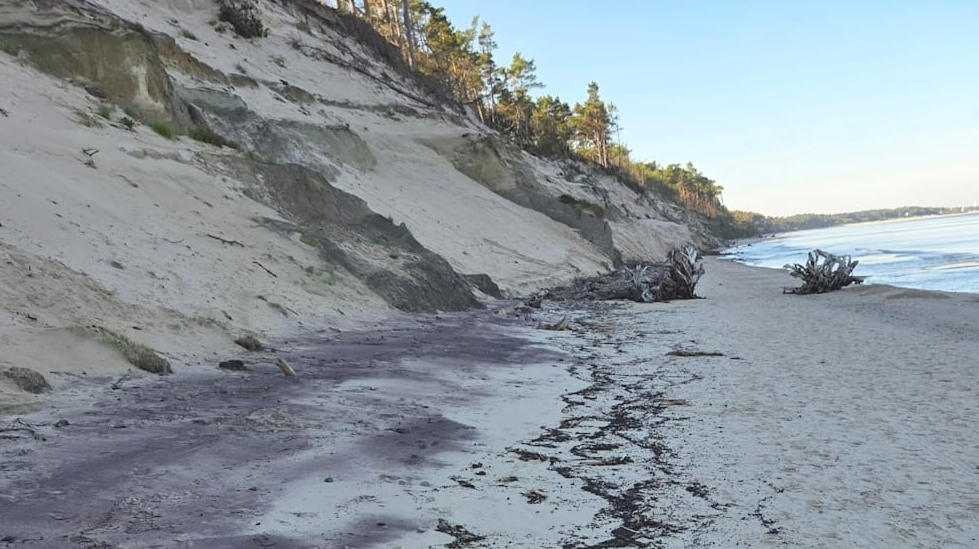 Sandige Steilküste mit angespülten dunklen Klumpen und Treibholz am Ostseestrand.