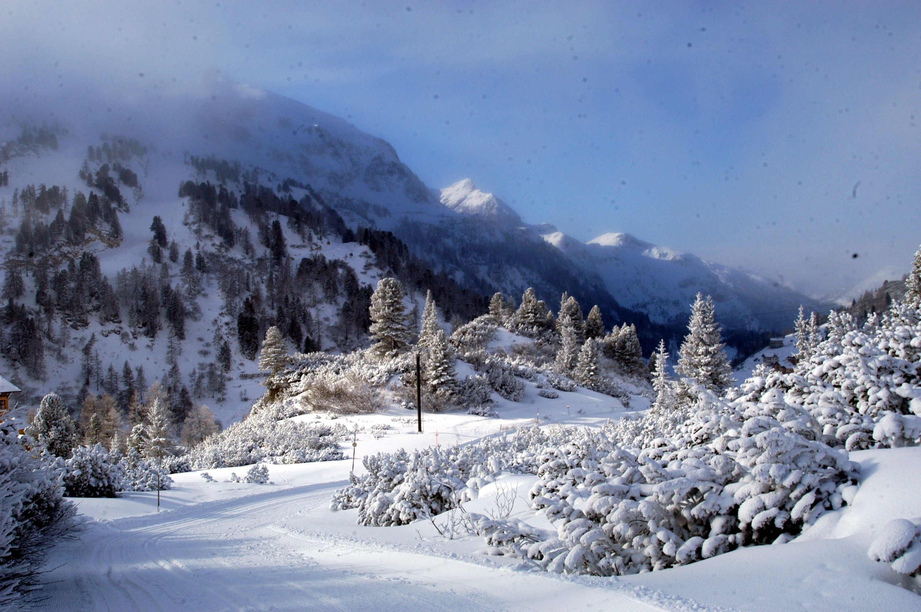 Verschneite Tannen und Berge in einer Winterlandschaft in Obertauern, Salzburg, Österreich.