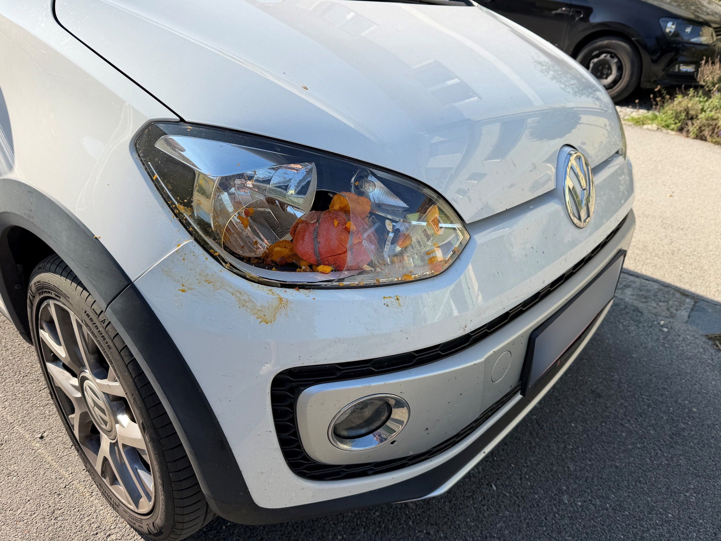 Auf so etwas möchte kein Autobesitzer treffen.