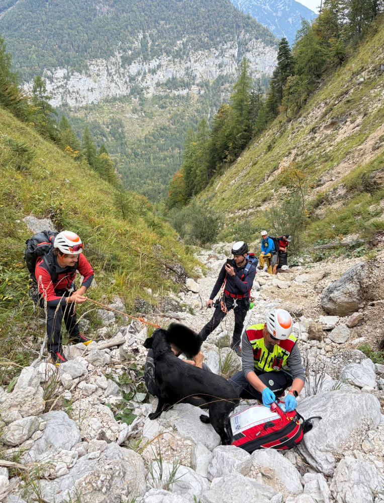 Bergretter mit Hund und Ausrüstung helfen einem verletzten Wanderer in felsigem Gelände.
