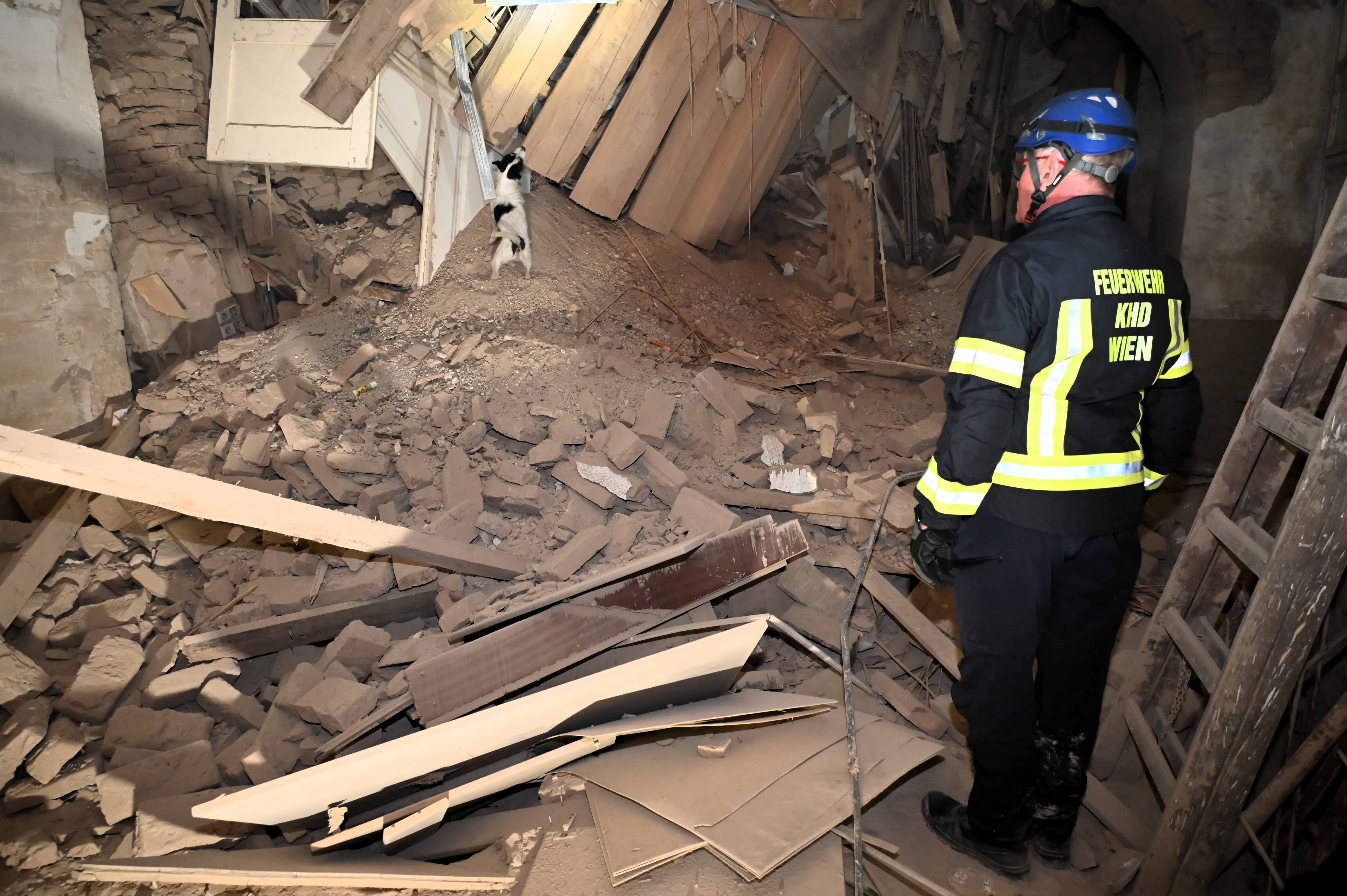 Ein Feuerwehrmann steht vor Trümmern eines eingestürzten Gebäudes, eine Suchhund arbeitet im Schutt.