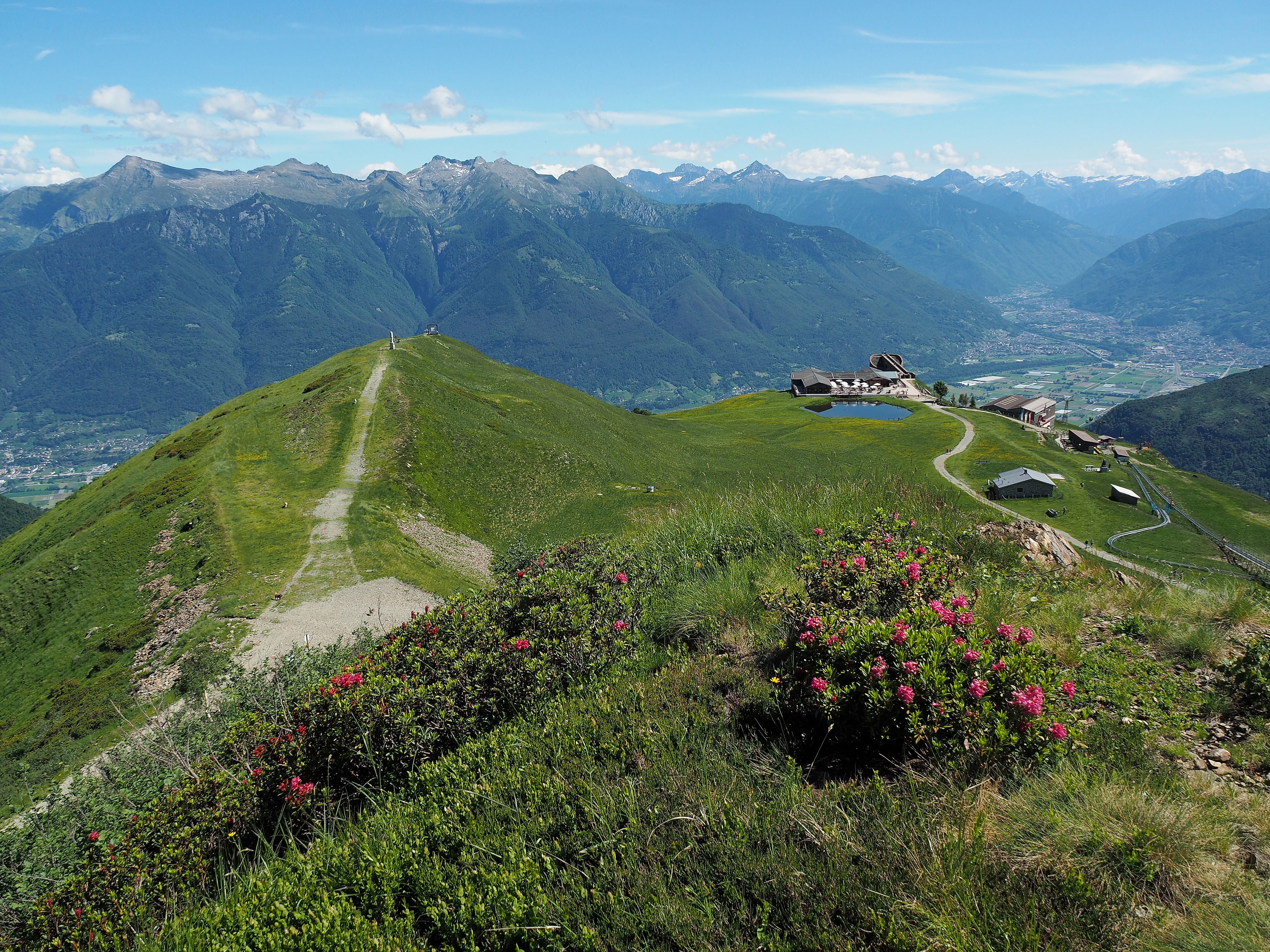 Berglandschaft mit Alpwiesen, blühenden Blumen, See, Gebäuden und Talblick auf Bellinzona.