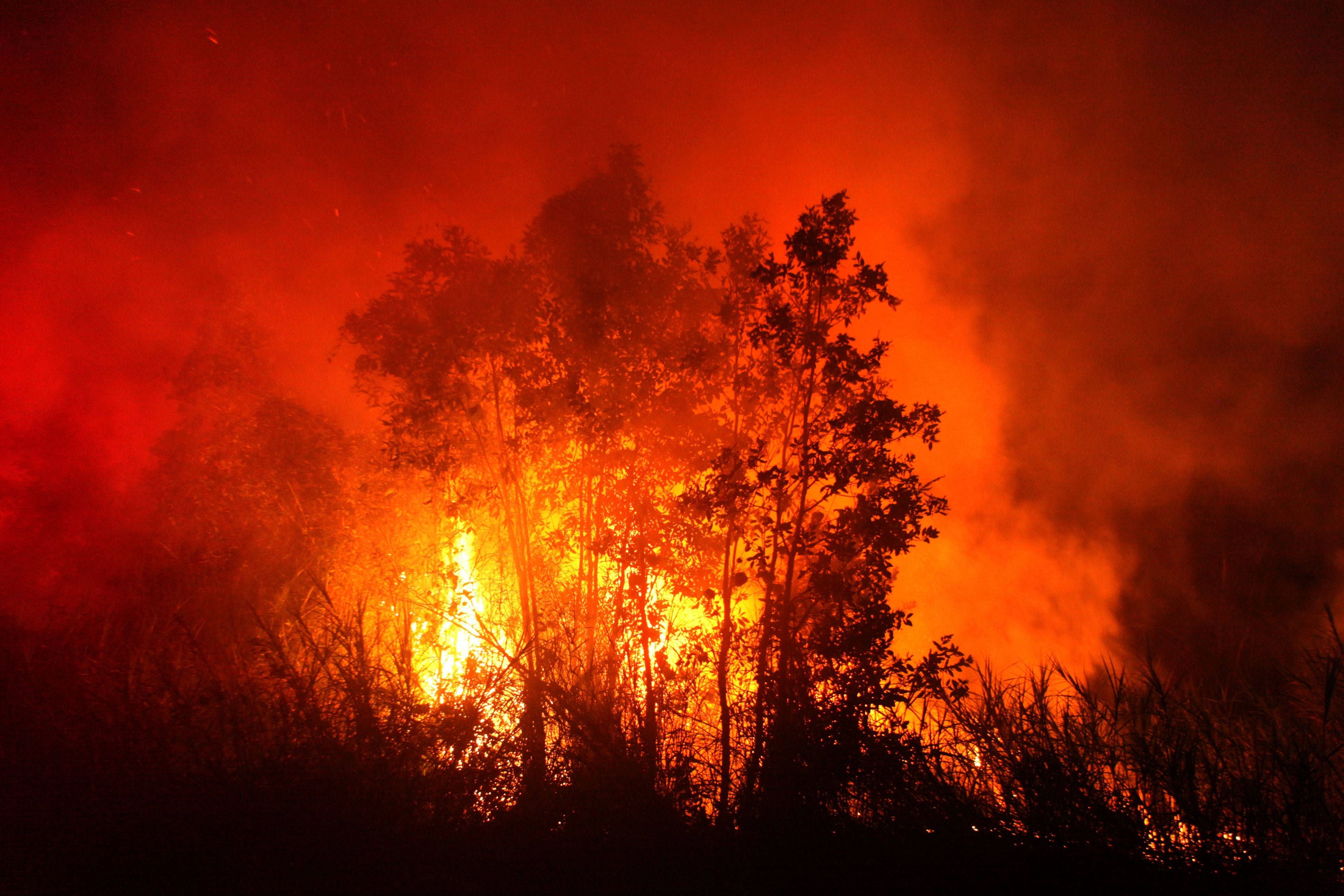 Ein brennender Wald bei Nacht mit hohen Flammen und dichtem Rauch in Palembang, Indonesien.