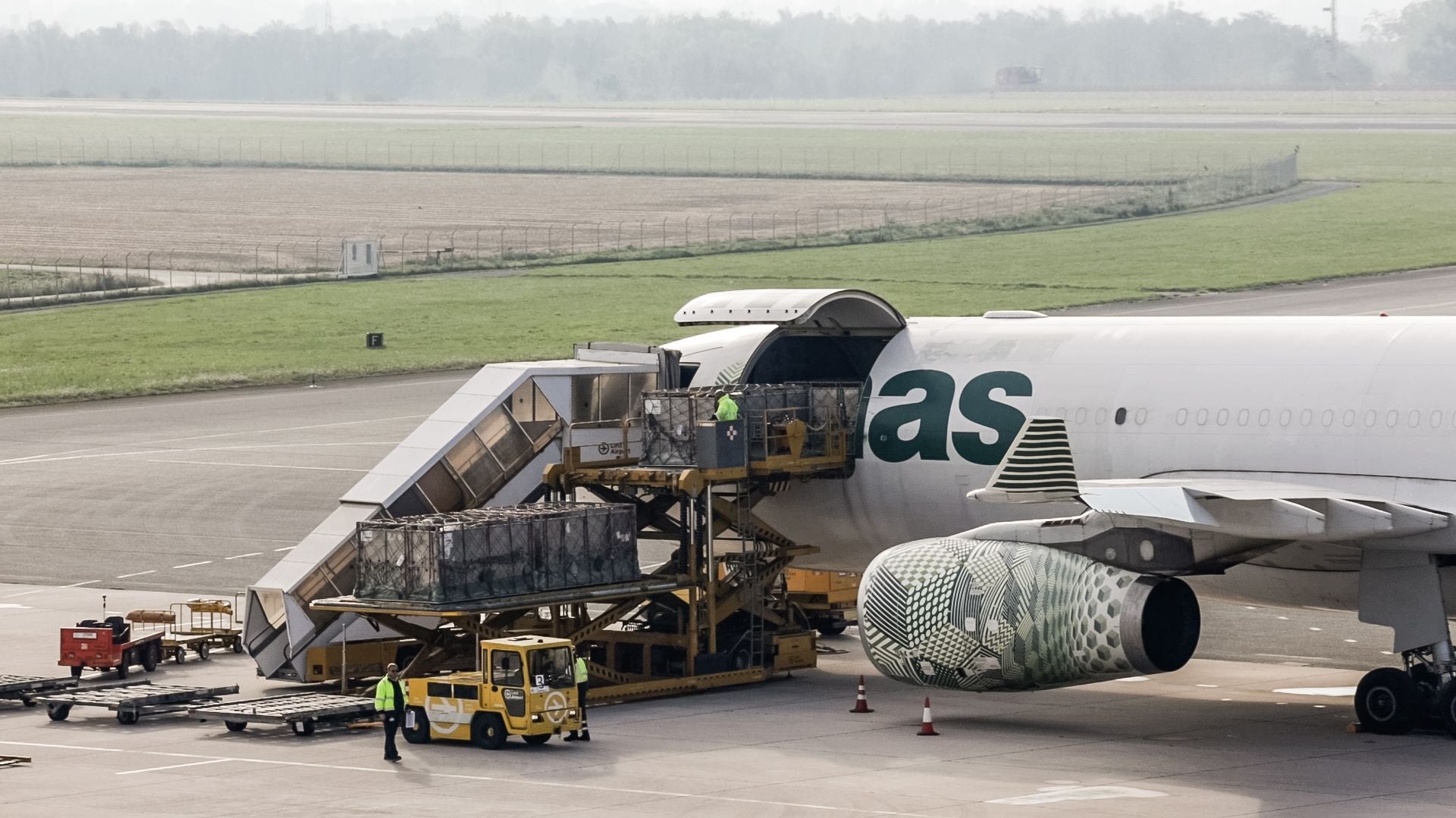 Lebendtransport