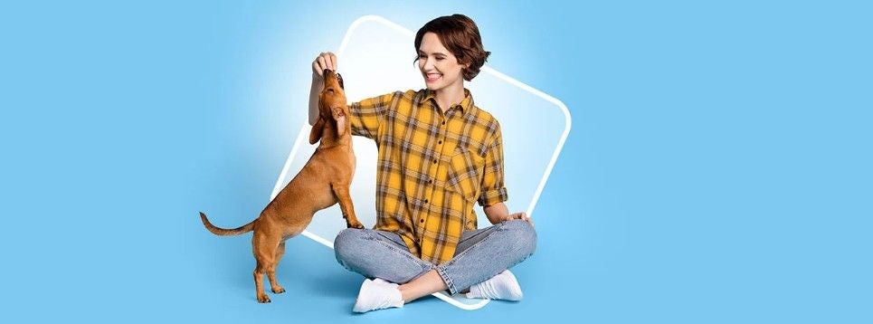 Frau sitzt auf dem Boden und spielt mit einem braunen Hund vor blauem Hintergrund.