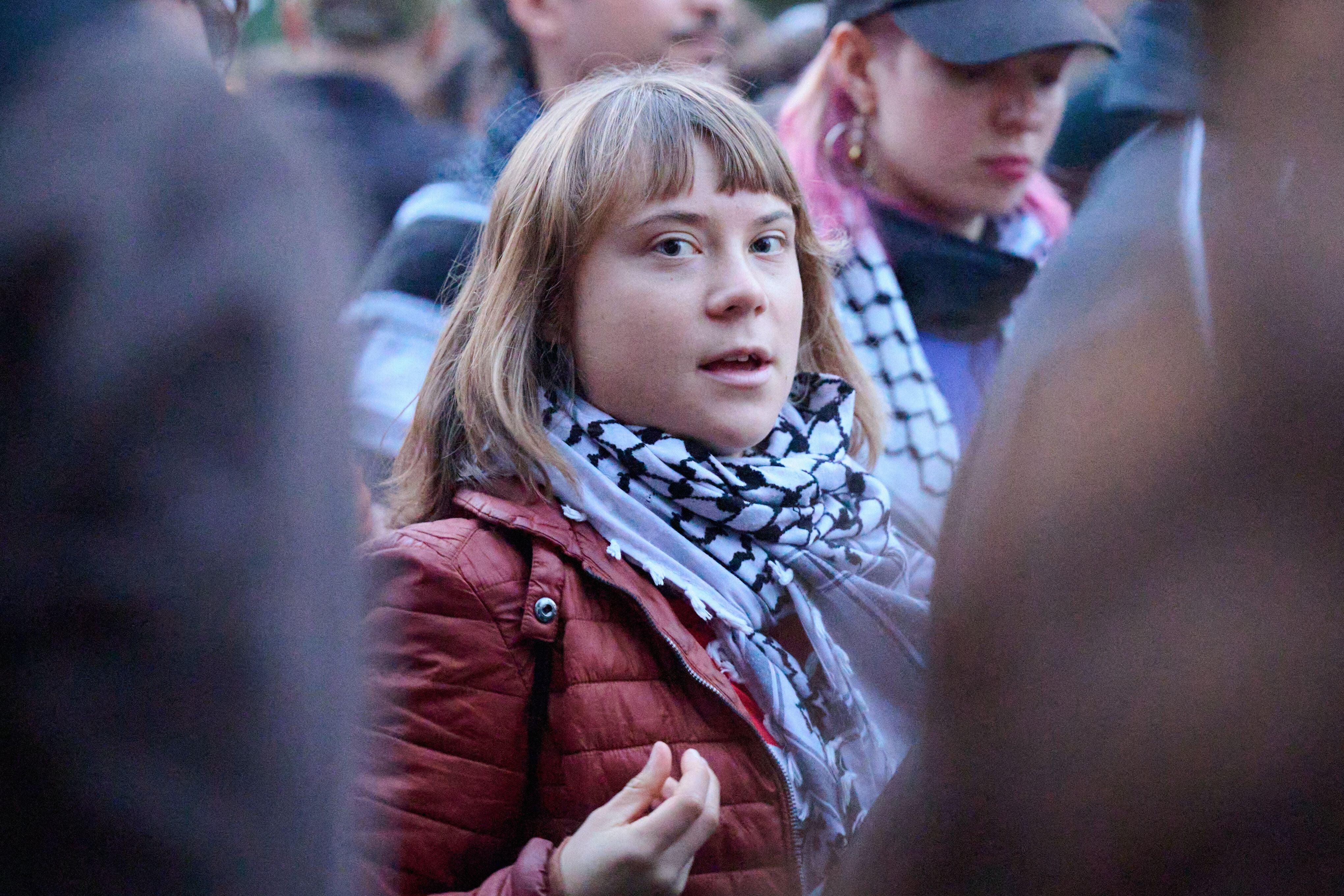 Greta Thunberg bei der Demo in Berlin.