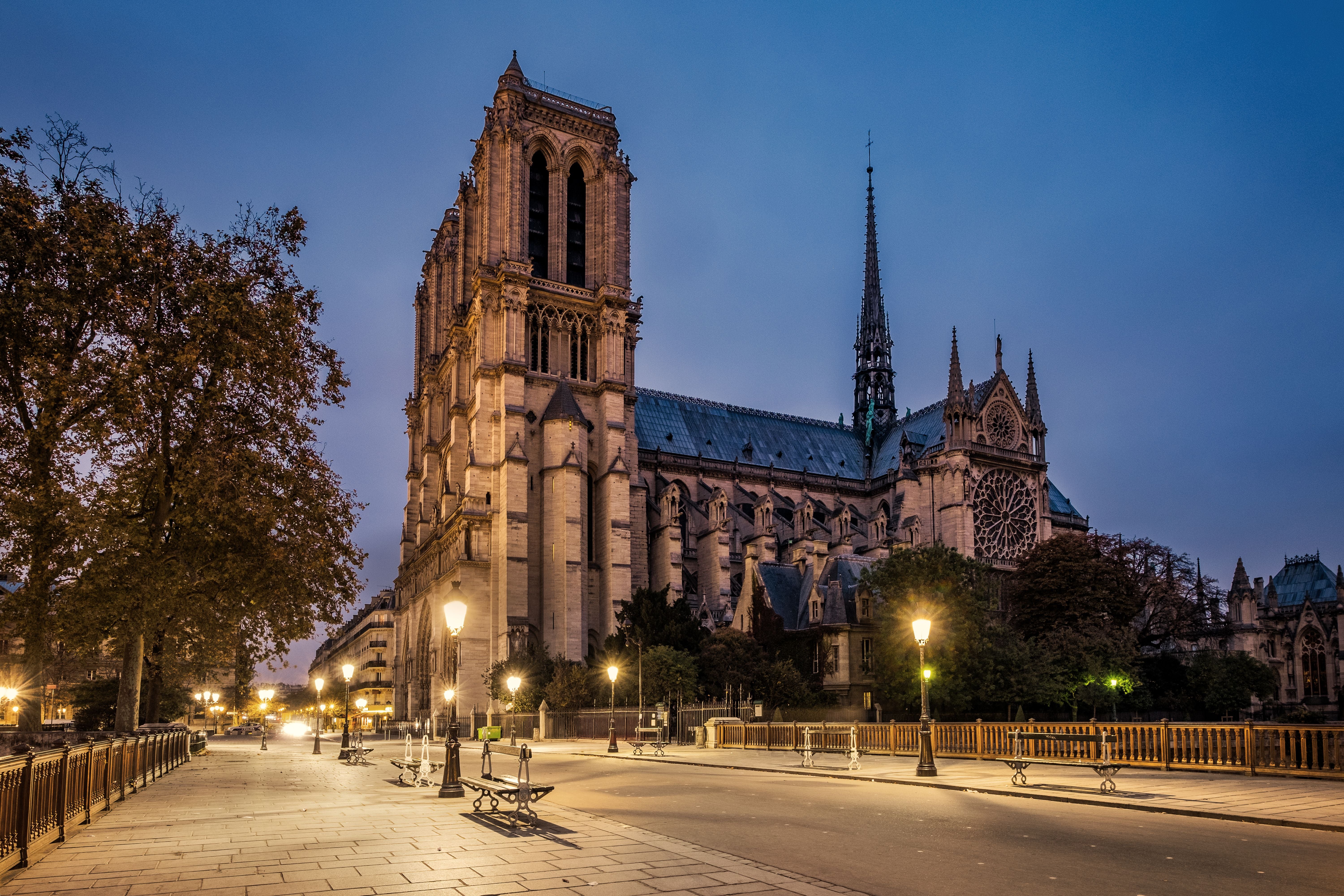 Die Kathedrale Notre-Dame in Paris, beleuchtet am Abend, mit Bäumen und Laternen im Vordergrund.
