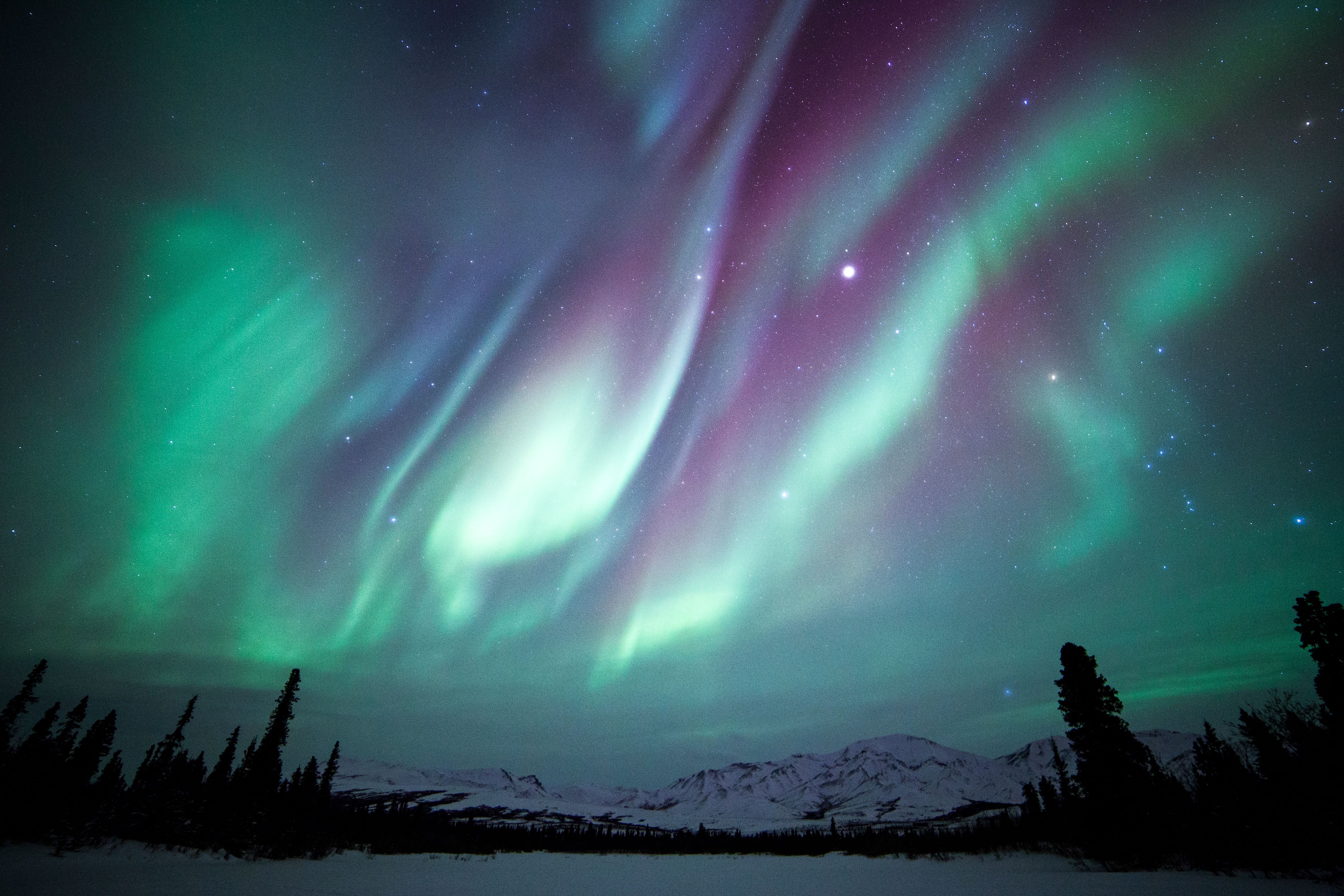 Nordlichter leuchten grün und violett über verschneiten Bergen und Bäumen in Alaska, Sternenhimmel.