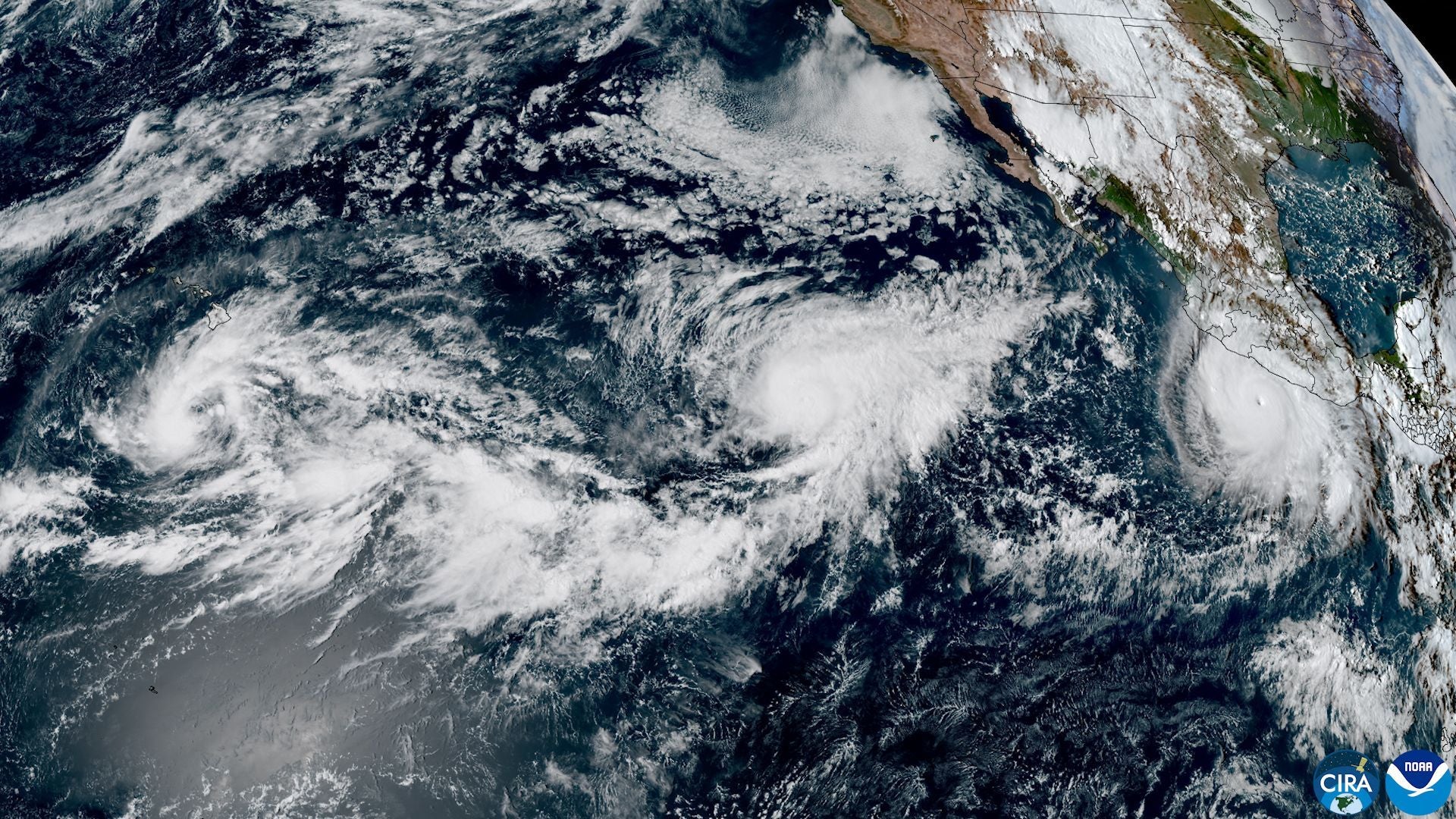 Satellitenbild mit drei Wirbelstürmen vor der Westküste der USA und Mexikos über dem Pazifik.