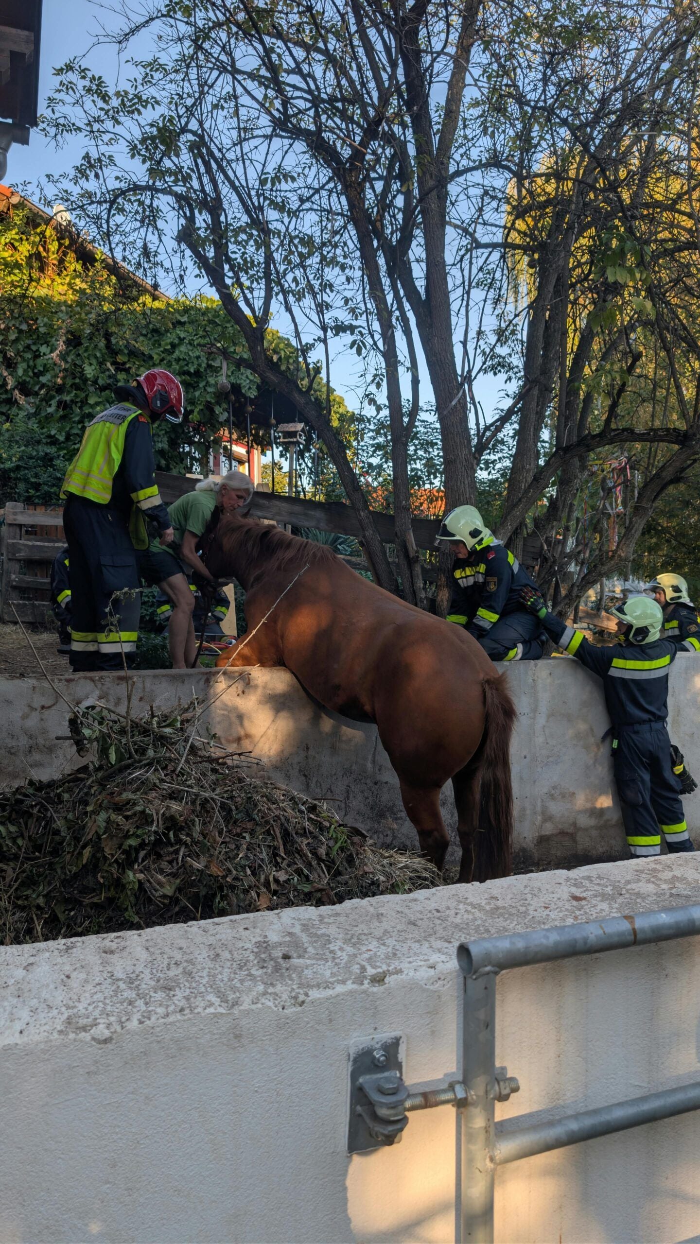 Feuerwehrleute befreien ein Pferd, das in einem Graben hinter einer Mauer feststeckt.