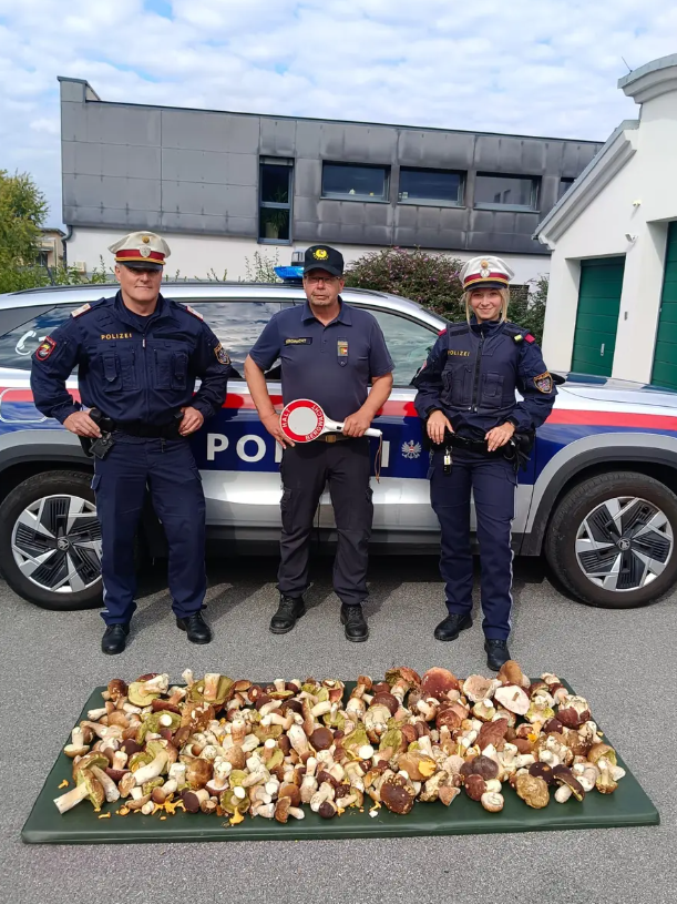 Drei Polizisten stehen vor einem Polizeiauto mit 30 Kilo beschlagnahmten Steinpilzen am Boden.