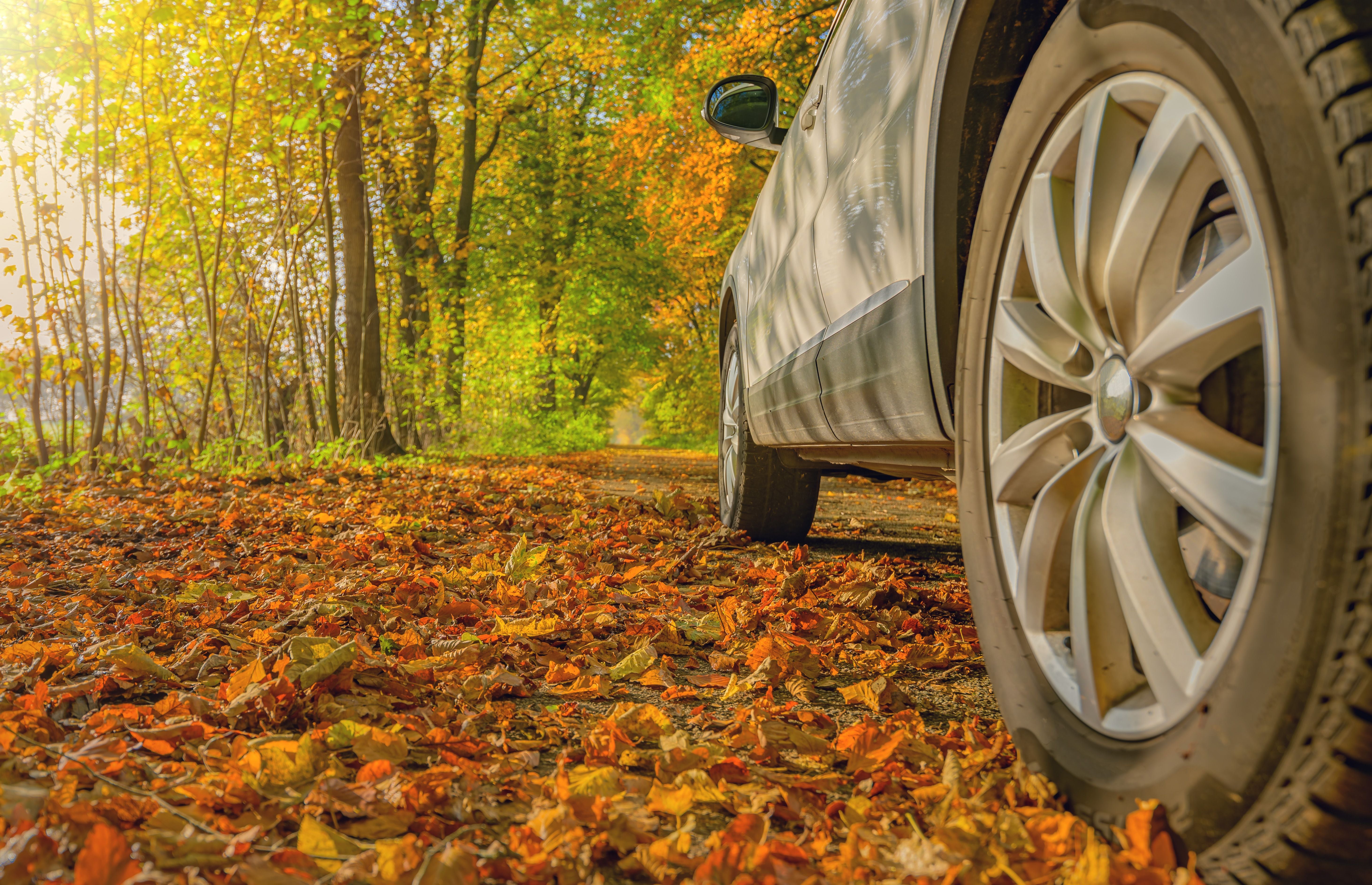 Silbernes Auto steht auf herbstbedecktem Weg mit bunten Blättern unter den Reifen im Park.