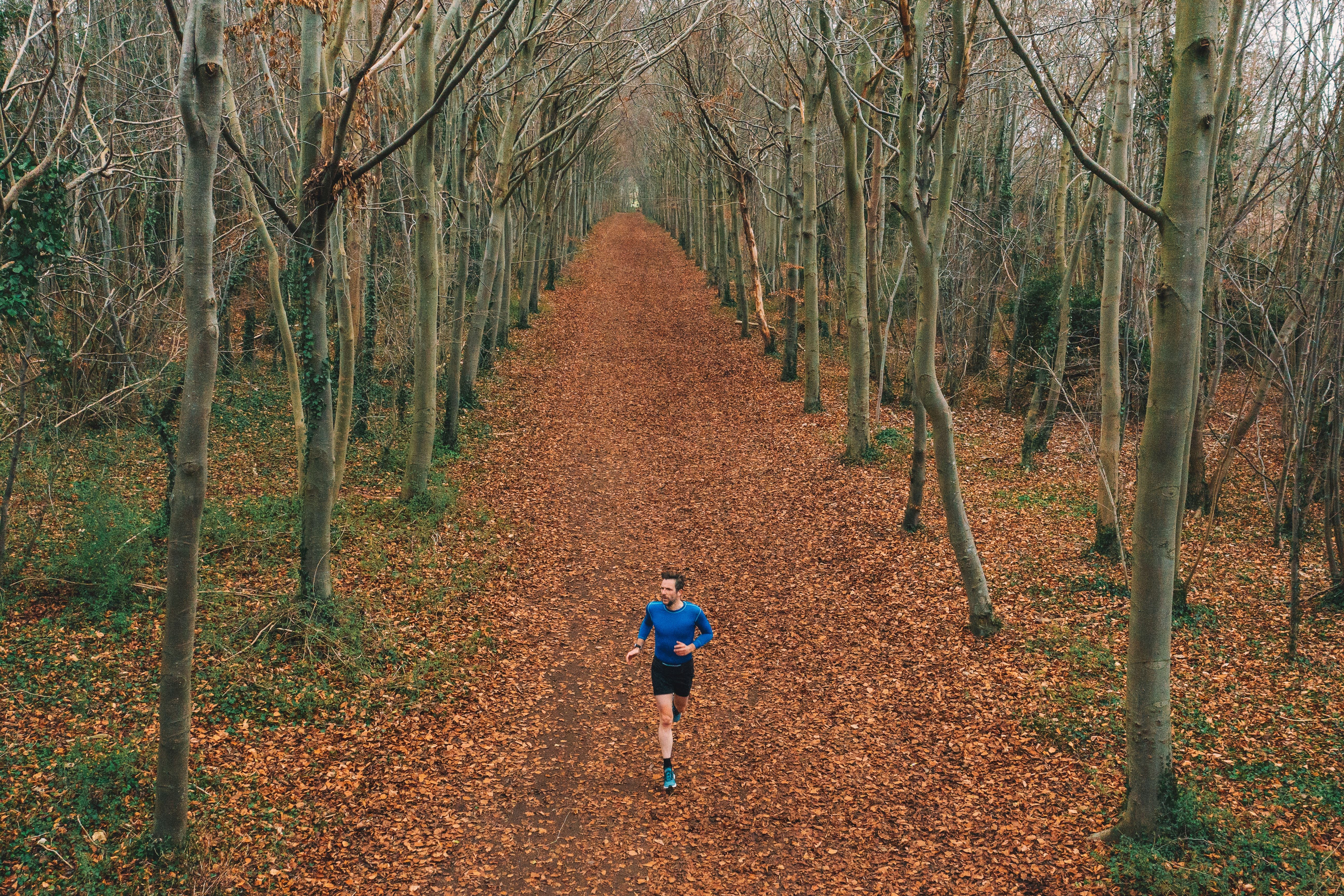 Person joggt auf einem mit Herbstlaub bedeckten Weg durch einen kahlen Wald.