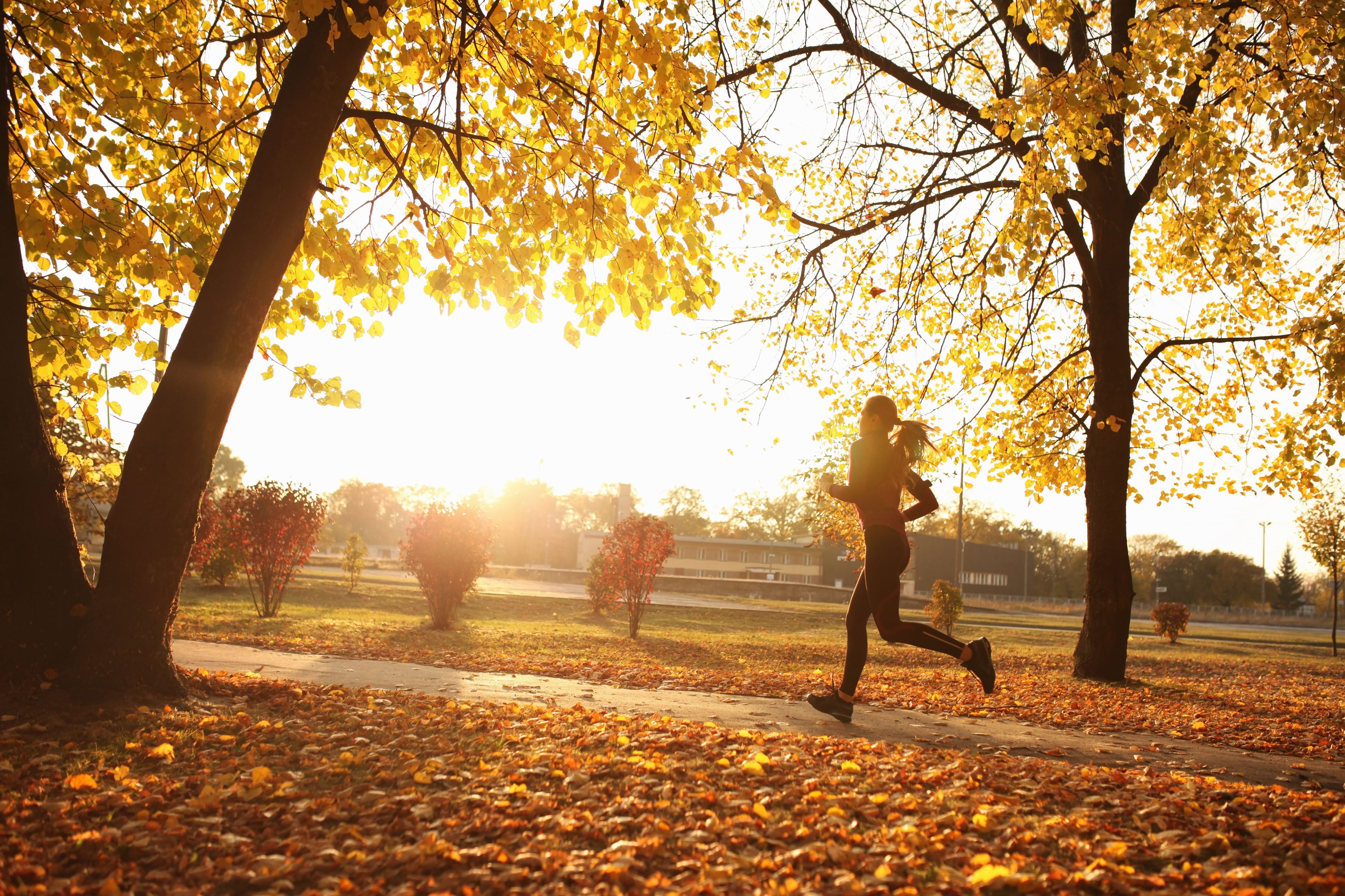 Joggerin läuft im herbstlichen Park bei Sonnenuntergang entlang eines mit Laub bedeckten Weges.