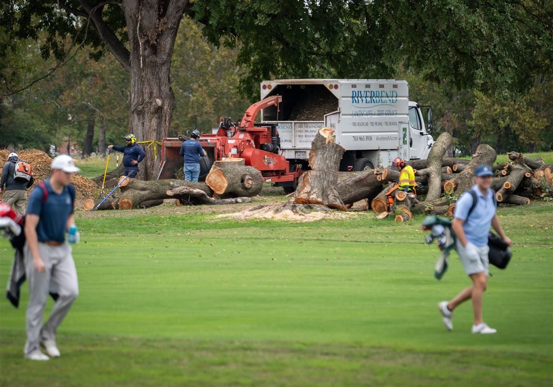 Waldarbeiter zerkleinern am East-Potomac-Golfplatz gefällte Baumstämme mit einem Schredder-Lkw, während im Vordergrund Golfer auf dem Rasen vorbeigehen.