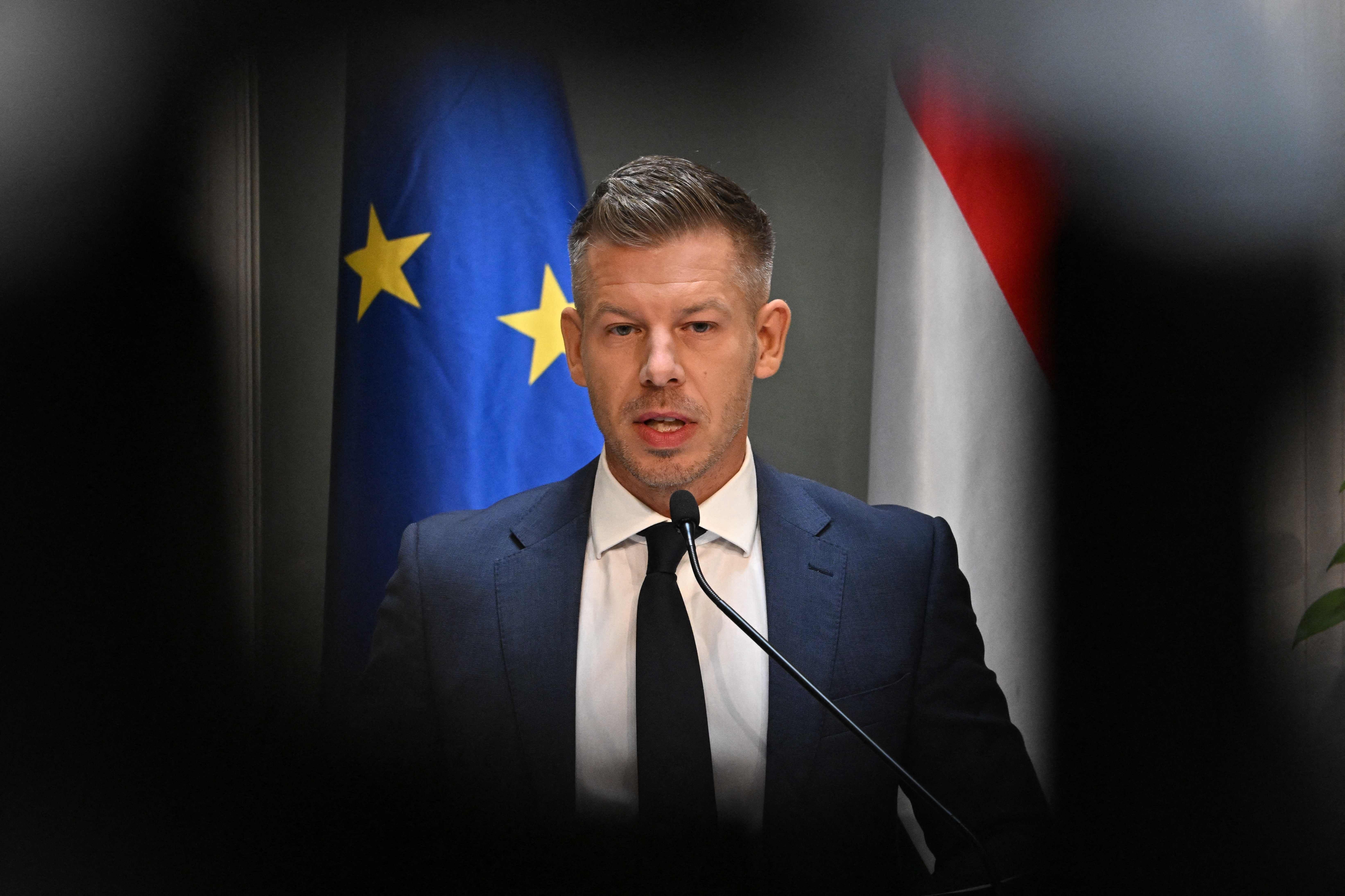 Ein Mann im Anzug spricht bei einer Pressekonferenz vor EU- und ungarischer Flagge.