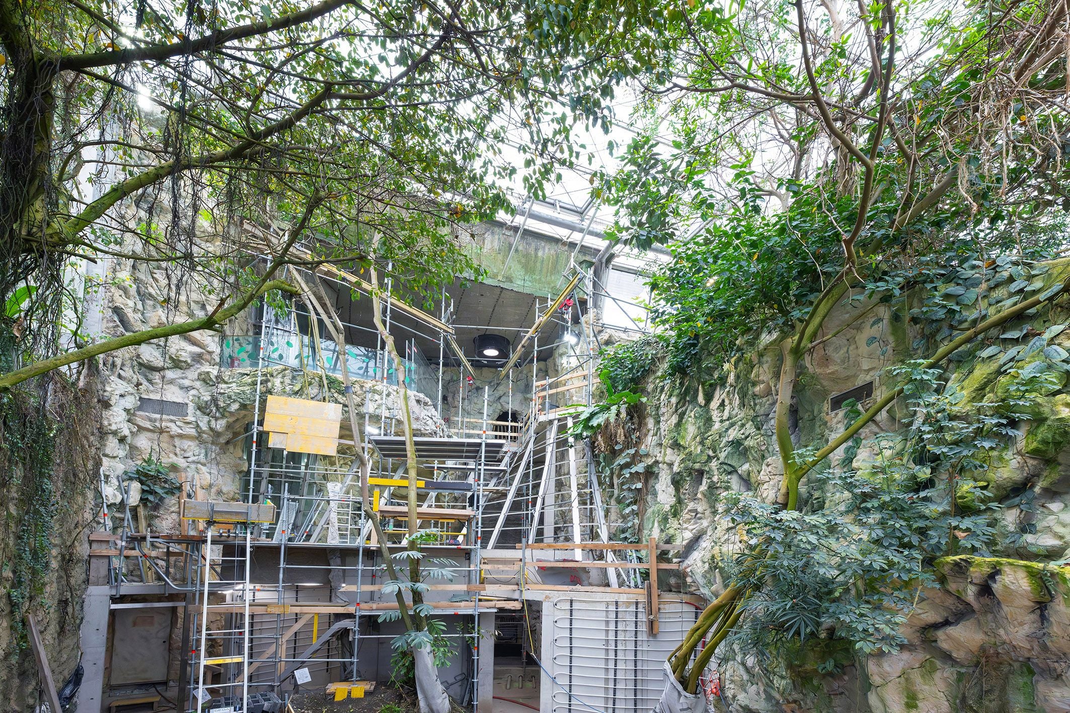 Blick auf eine im Bau befindliche Fledermausanlage im Tiergarten Schönbrunn, umgeben von Pflanzen.