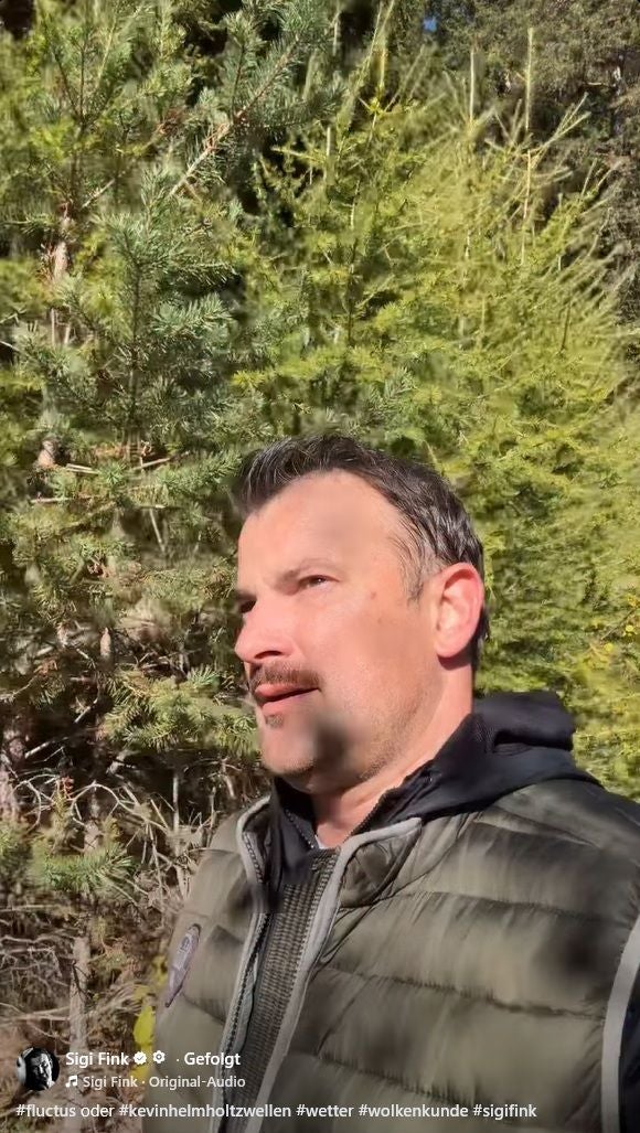 Ein Mann steht im Sonnenschein vor grünen Nadelbäumen im Freien.