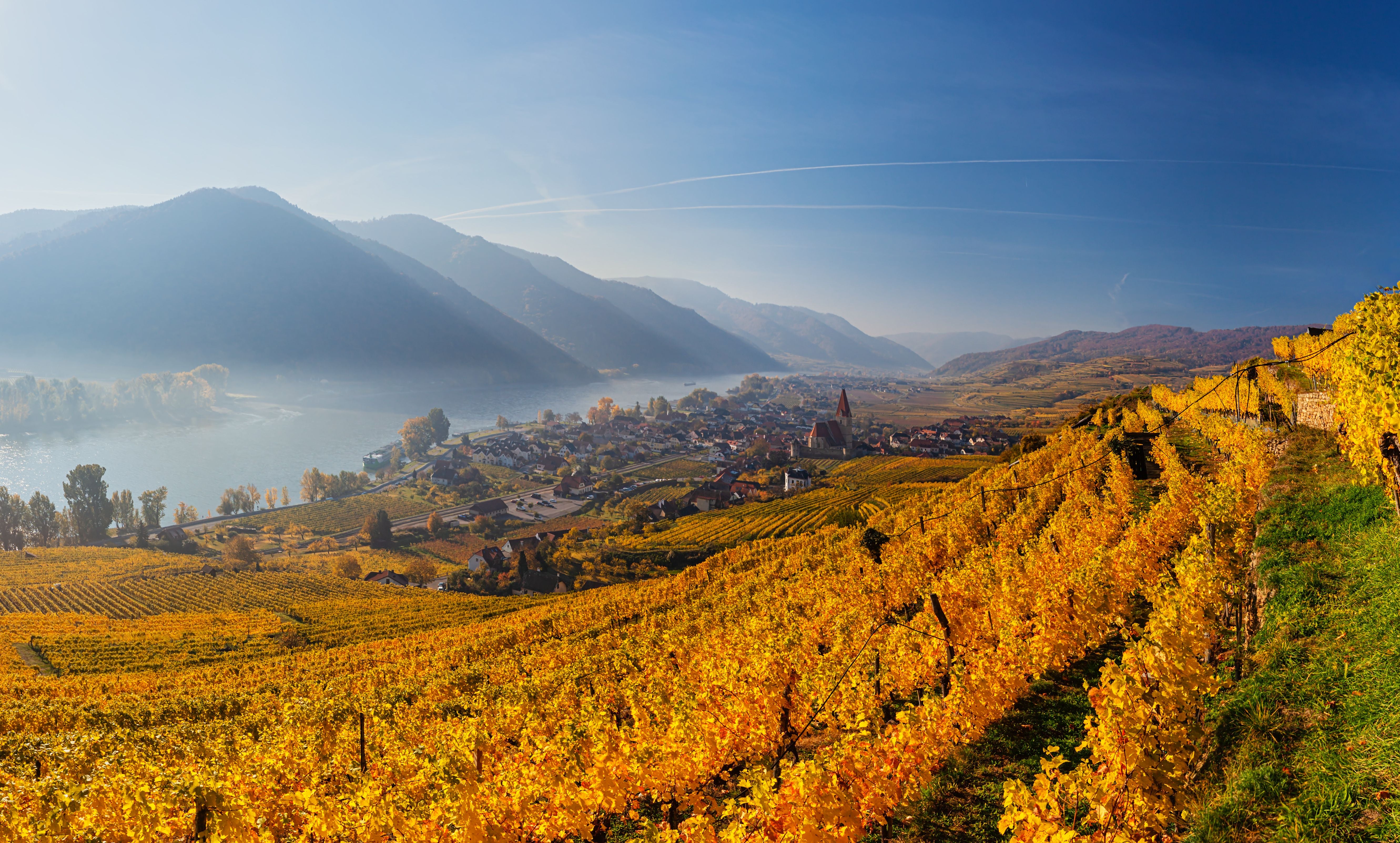 Herbstliche Weinberge mit Blick auf Weissenkirchen im Wachau-Tal an der Donau, Österreich.