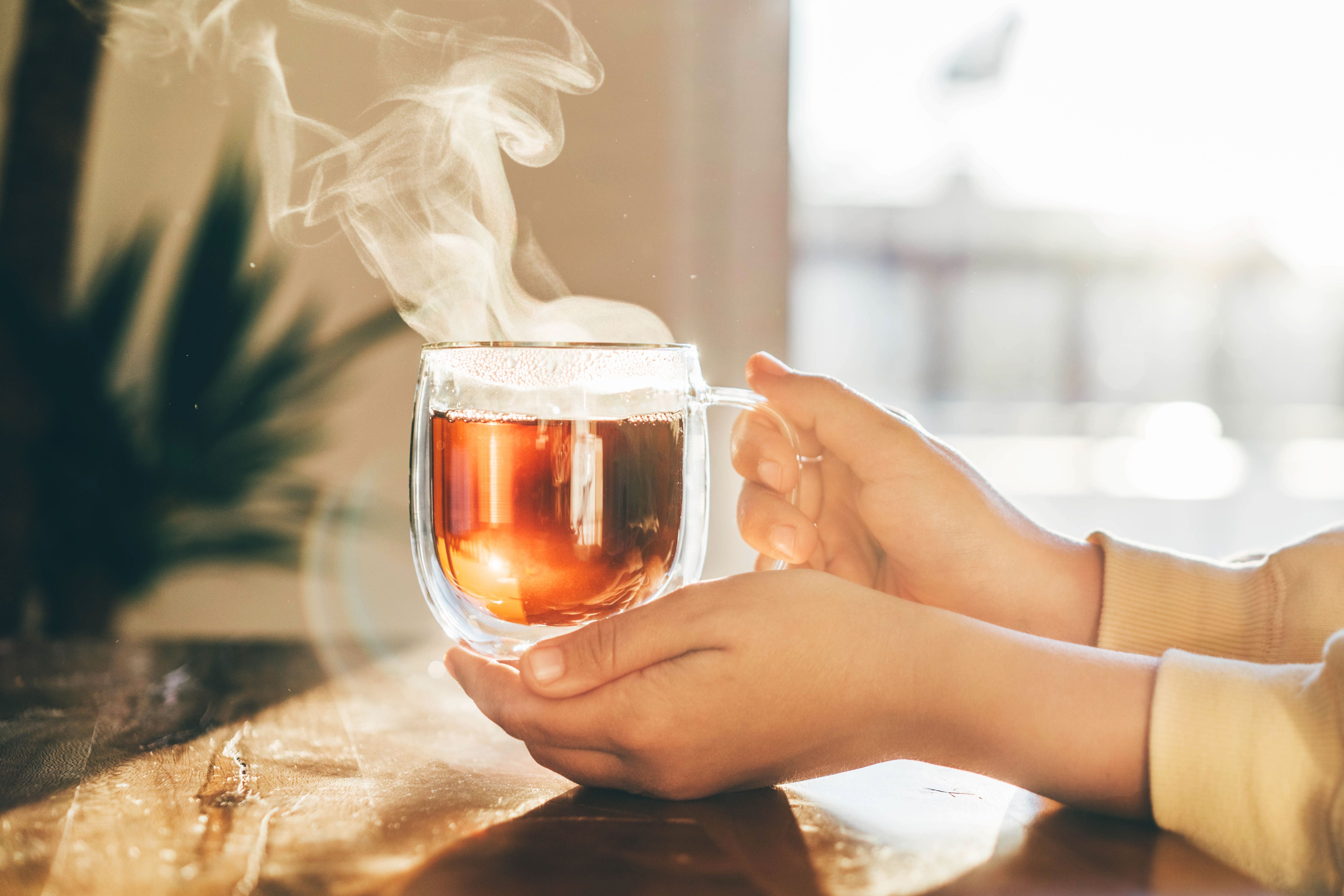 Eine dampfende Tasse Tee wird von zwei Händen gehalten, Sonnenlicht im Hintergrund.