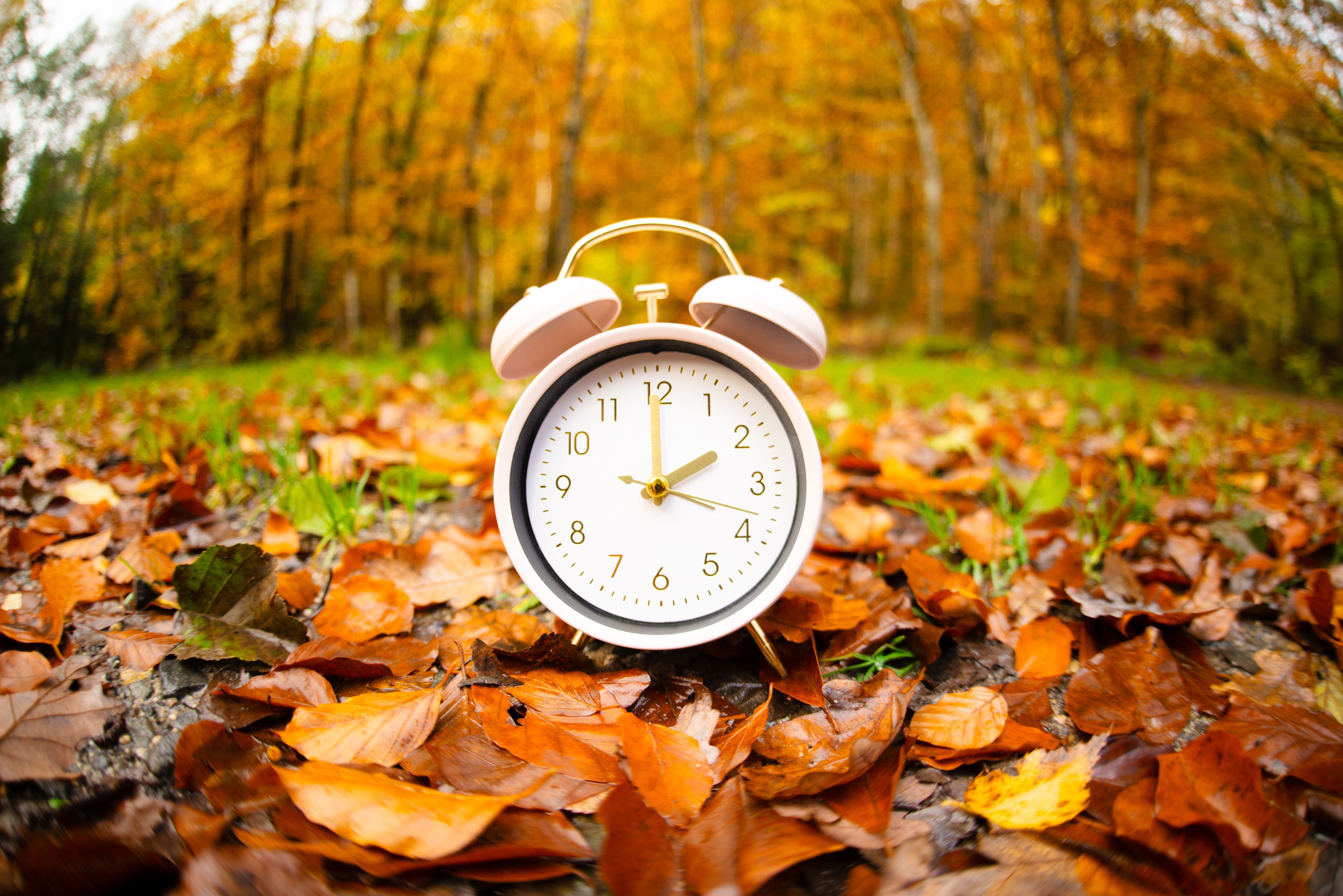 Wecker auf Herbstlaub im Wald symbolisiert Zeitumstellung zum Ende der Sommerzeit.