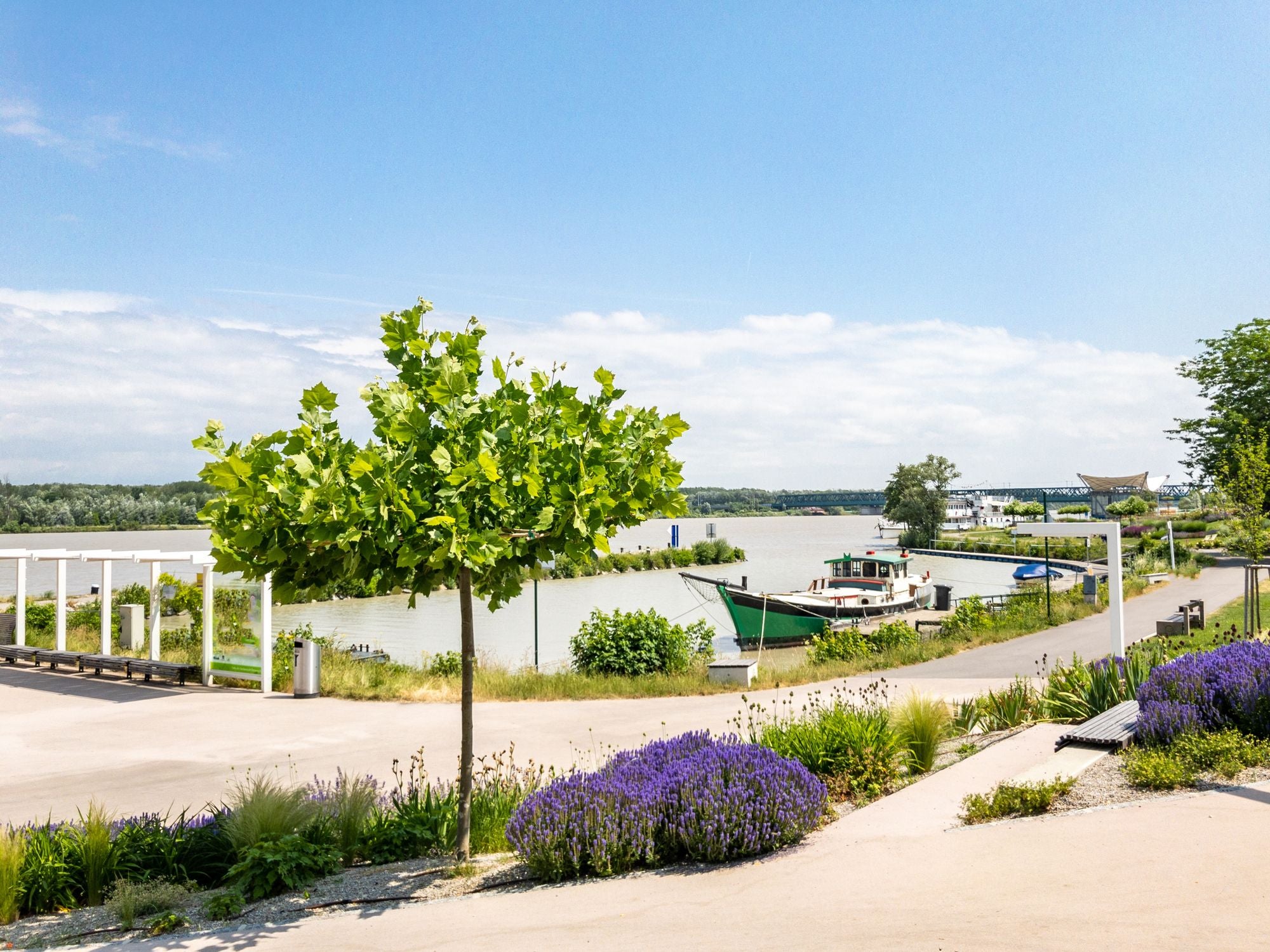 Die Donau bei Tulln im Weinviertel.