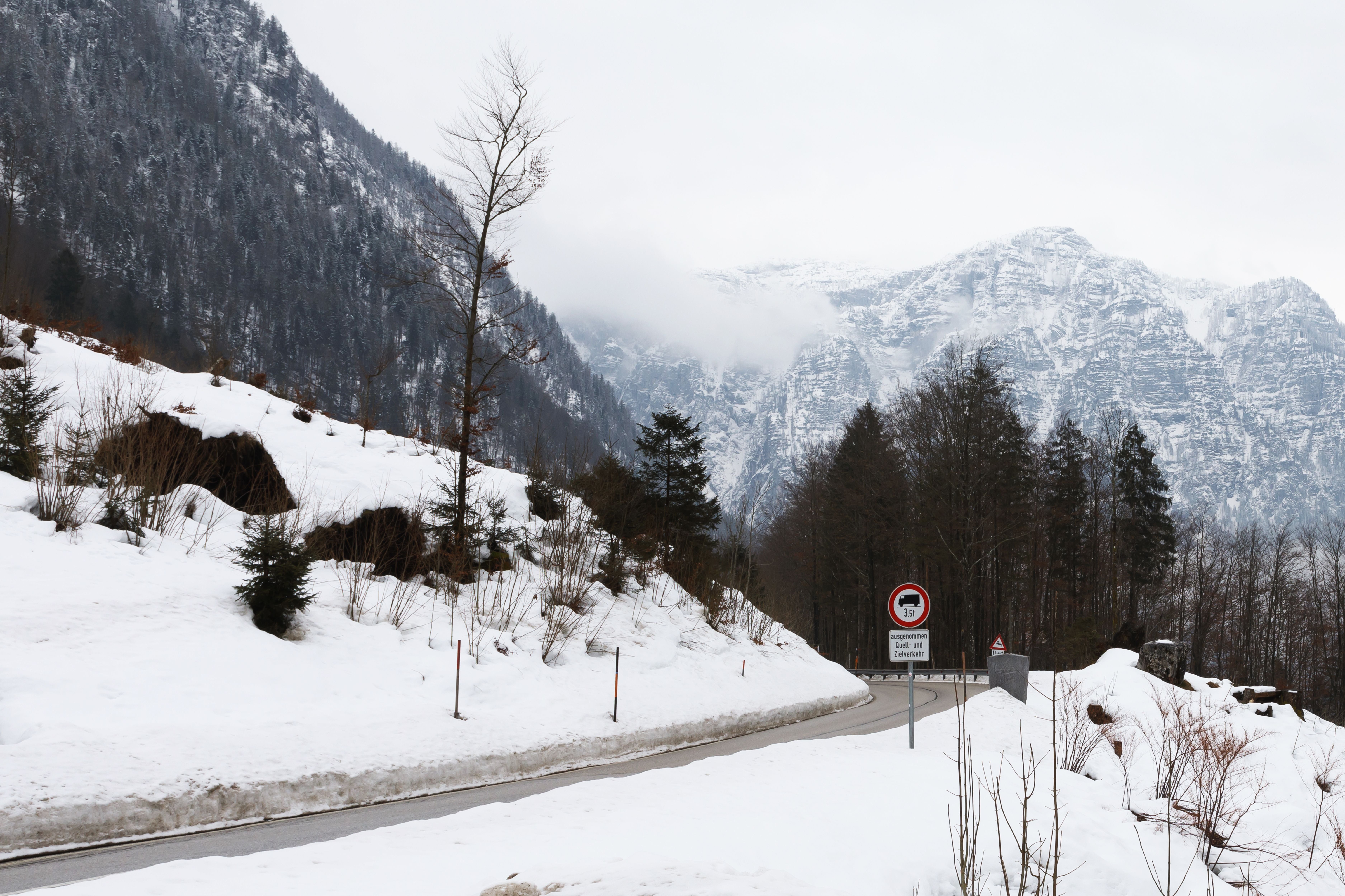 Verschneite Bergstraße durch einen winterlichen Wald, Berge im Hintergrund und Nebel in der Luft.
