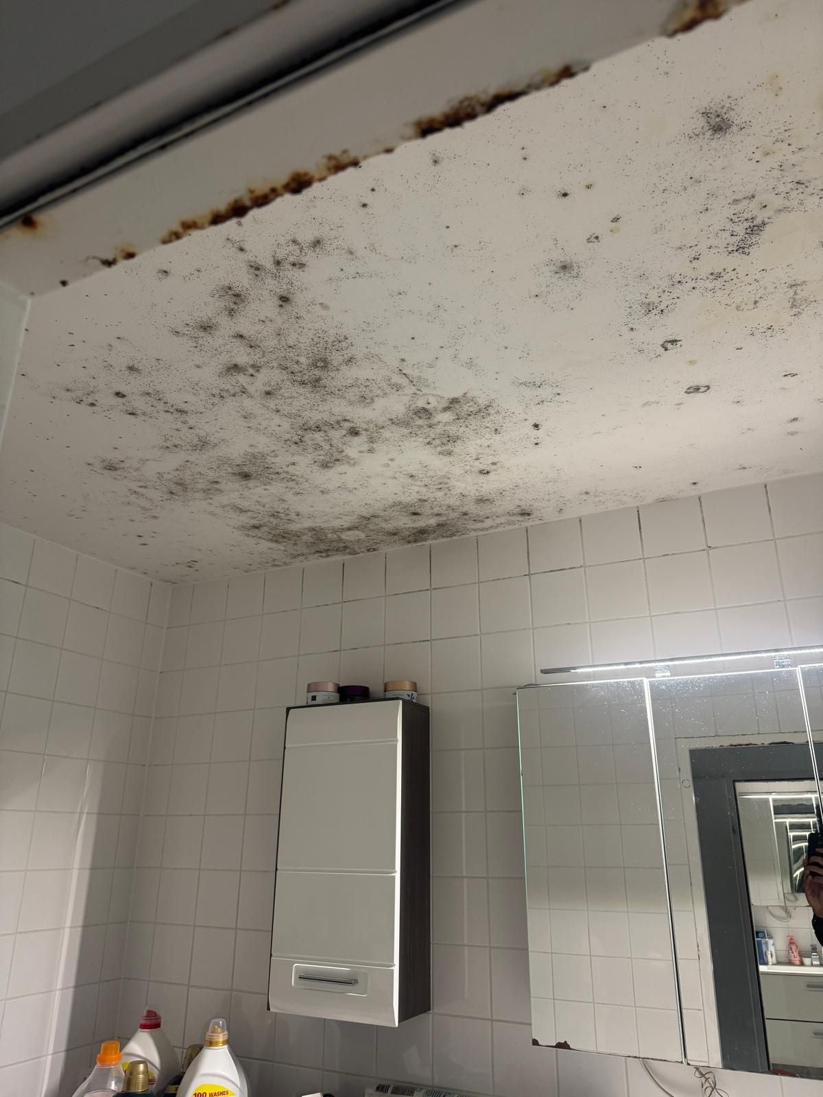 Schimmelbefall an der Badezimmerdecke über Fliesen und Sanitäranlagen.