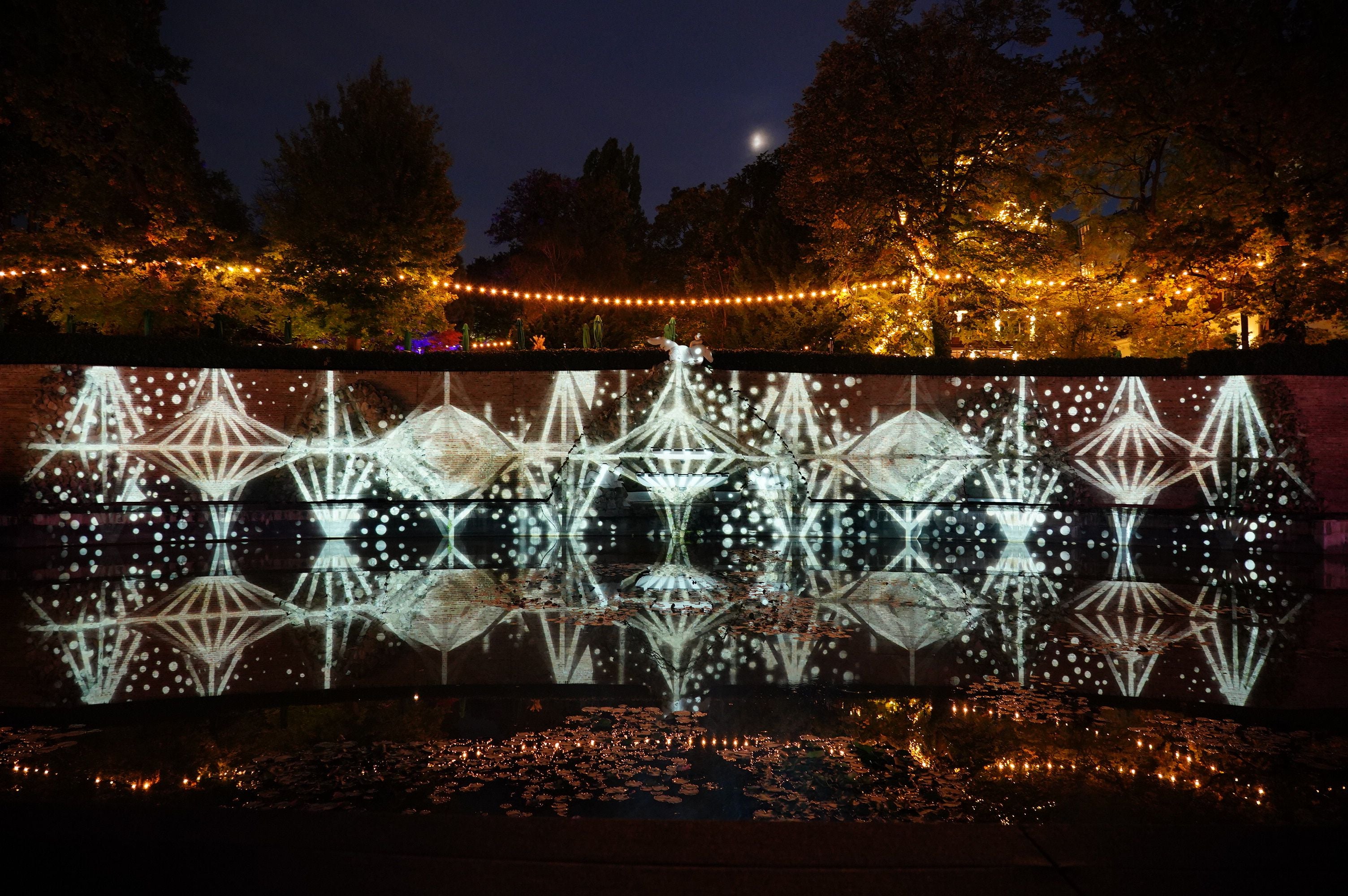 Lichtinstallation mit geometrischen Mustern spiegelt sich nachts in einem Teich im Park wider.