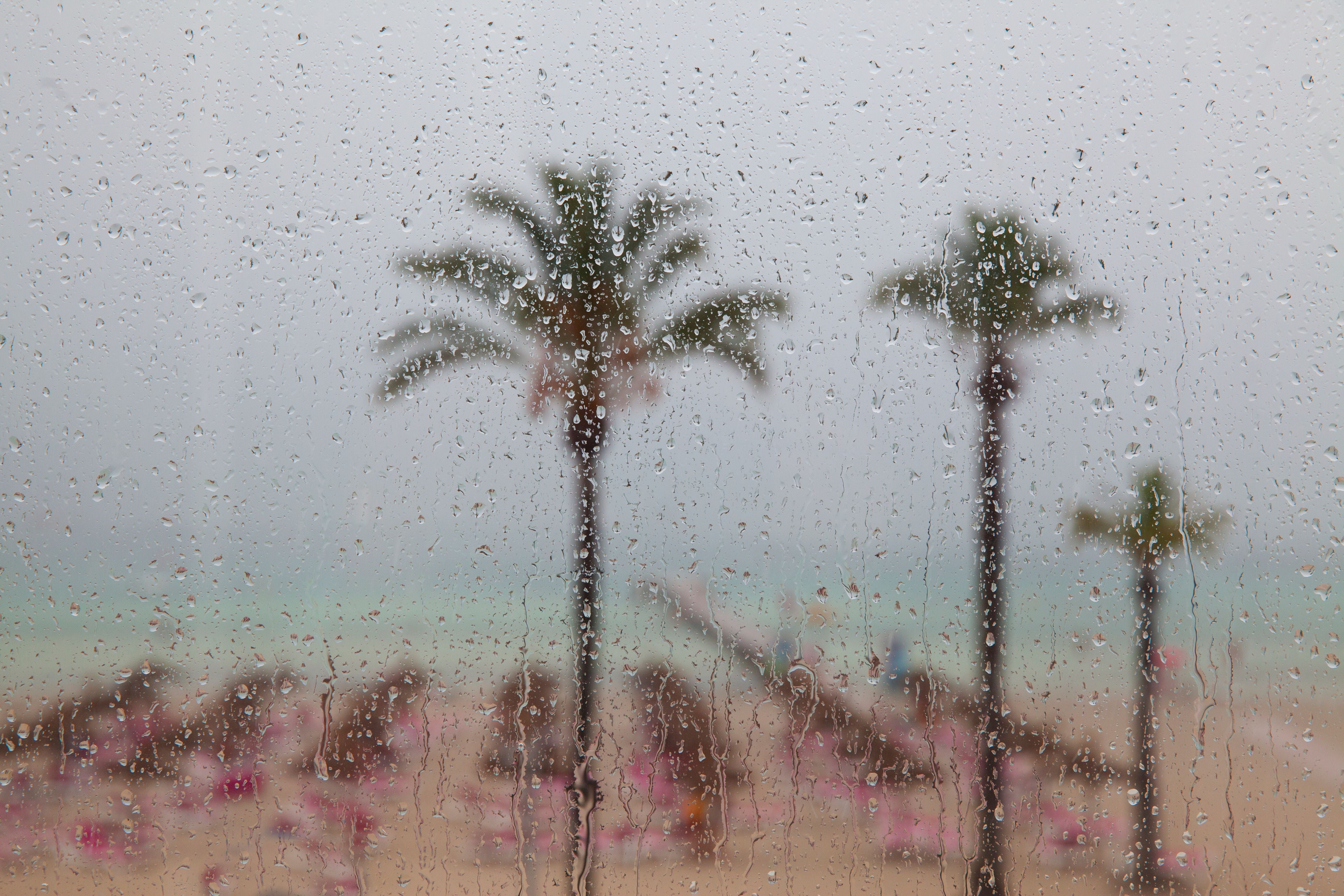 Regentropfen auf Fensterscheibe mit Palmen und Strand im Hintergrund an einem tropischen Regentag.