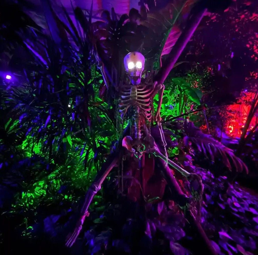 Skelett mit leuchtenden Augen sitzt im bunt beleuchteten Gruselgarten im Dumbapark.